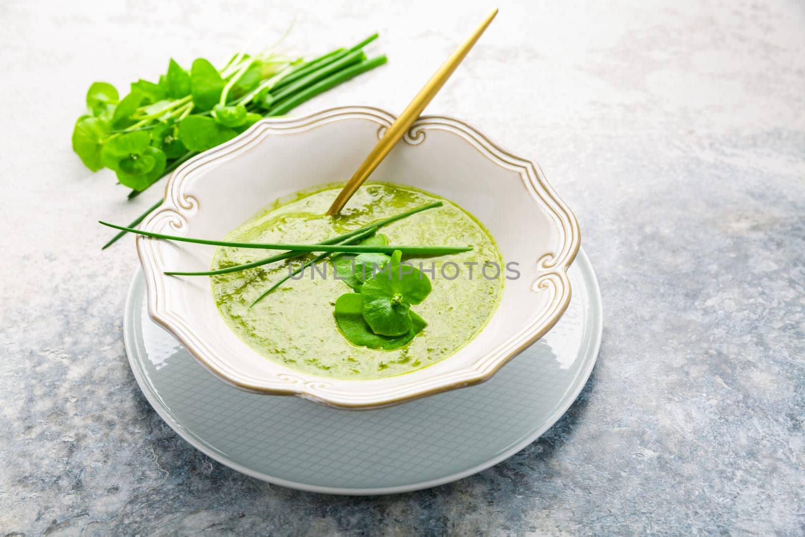 Healthy green soup with fresh spring plants, herbs, winter purslane, chives and ramson