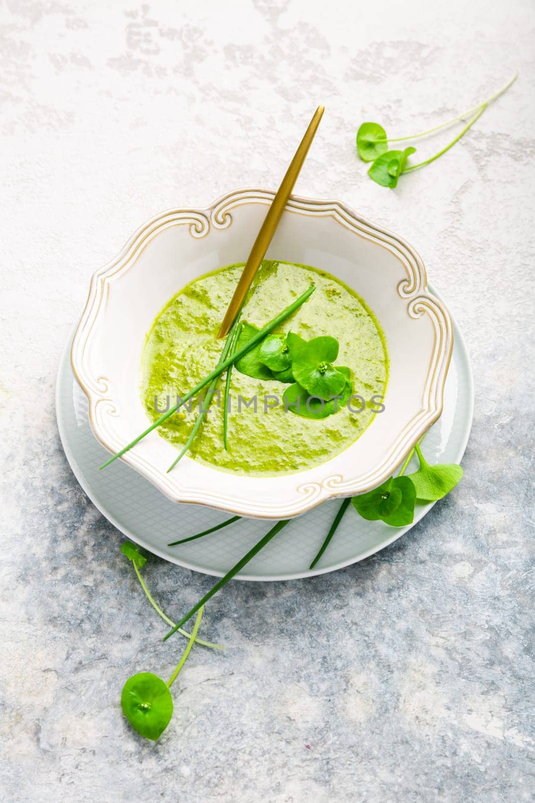 Healthy green soup with fresh spring plants, herbs, winter purslane, chives and ramson