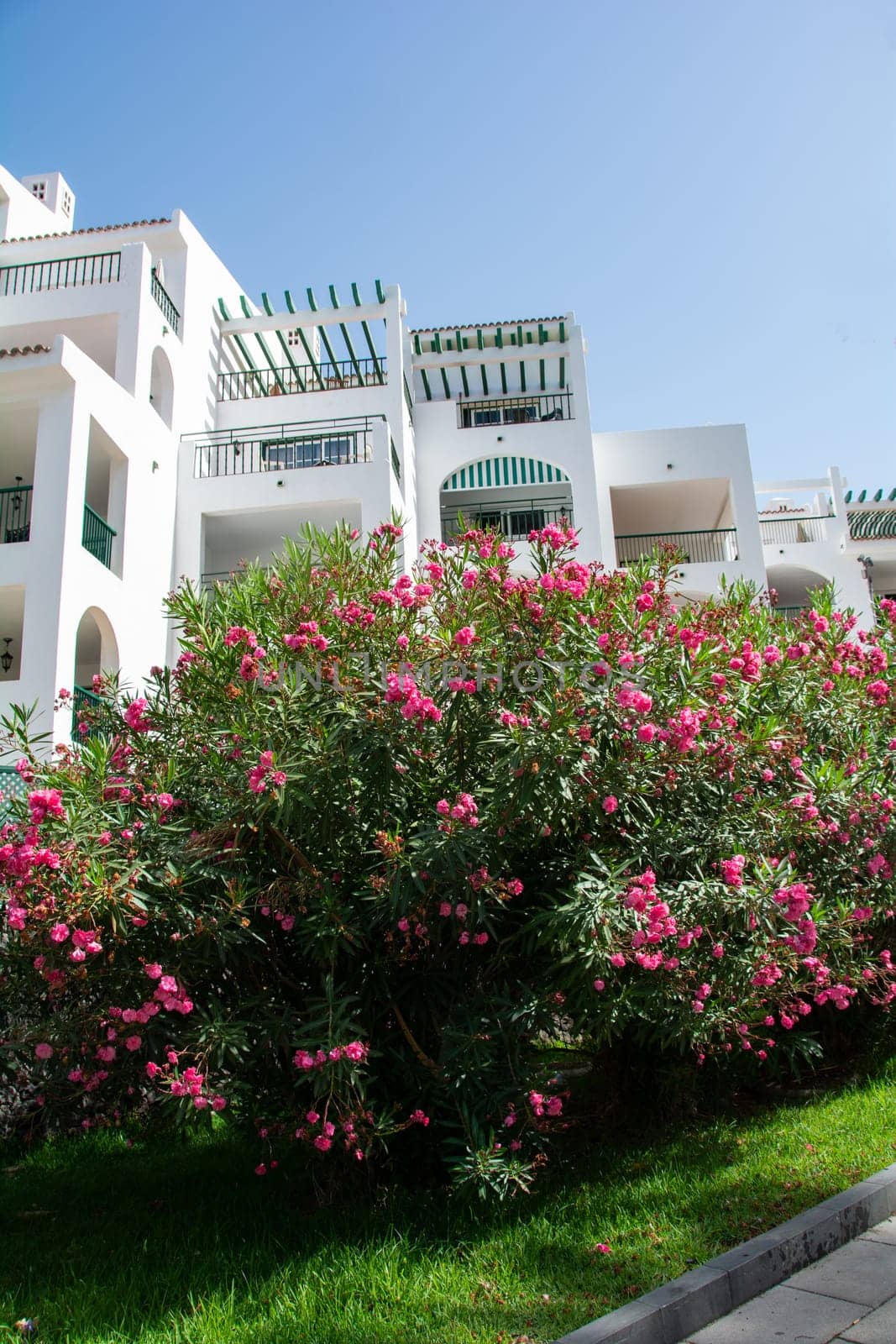 Bungalow complex with flowers bush on Canary Island Tenerife, Costa Adeje, Spain