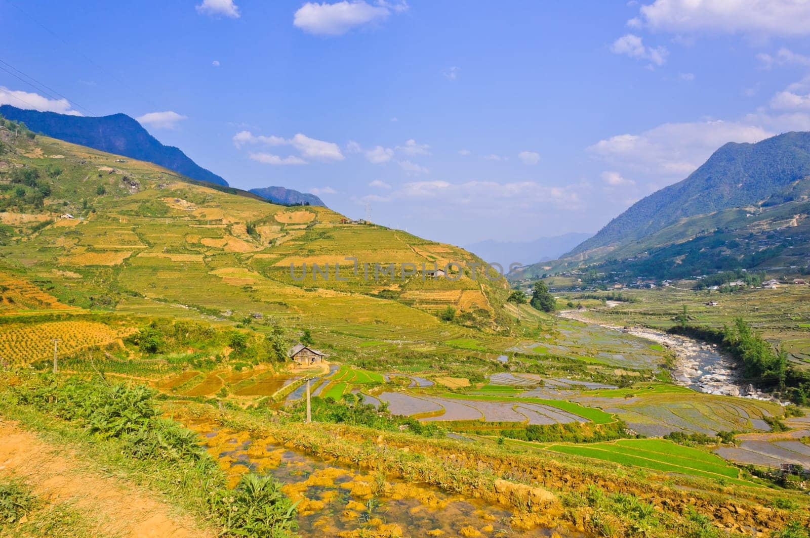 Landscape of Sapa rice terraced fields, Vietnam