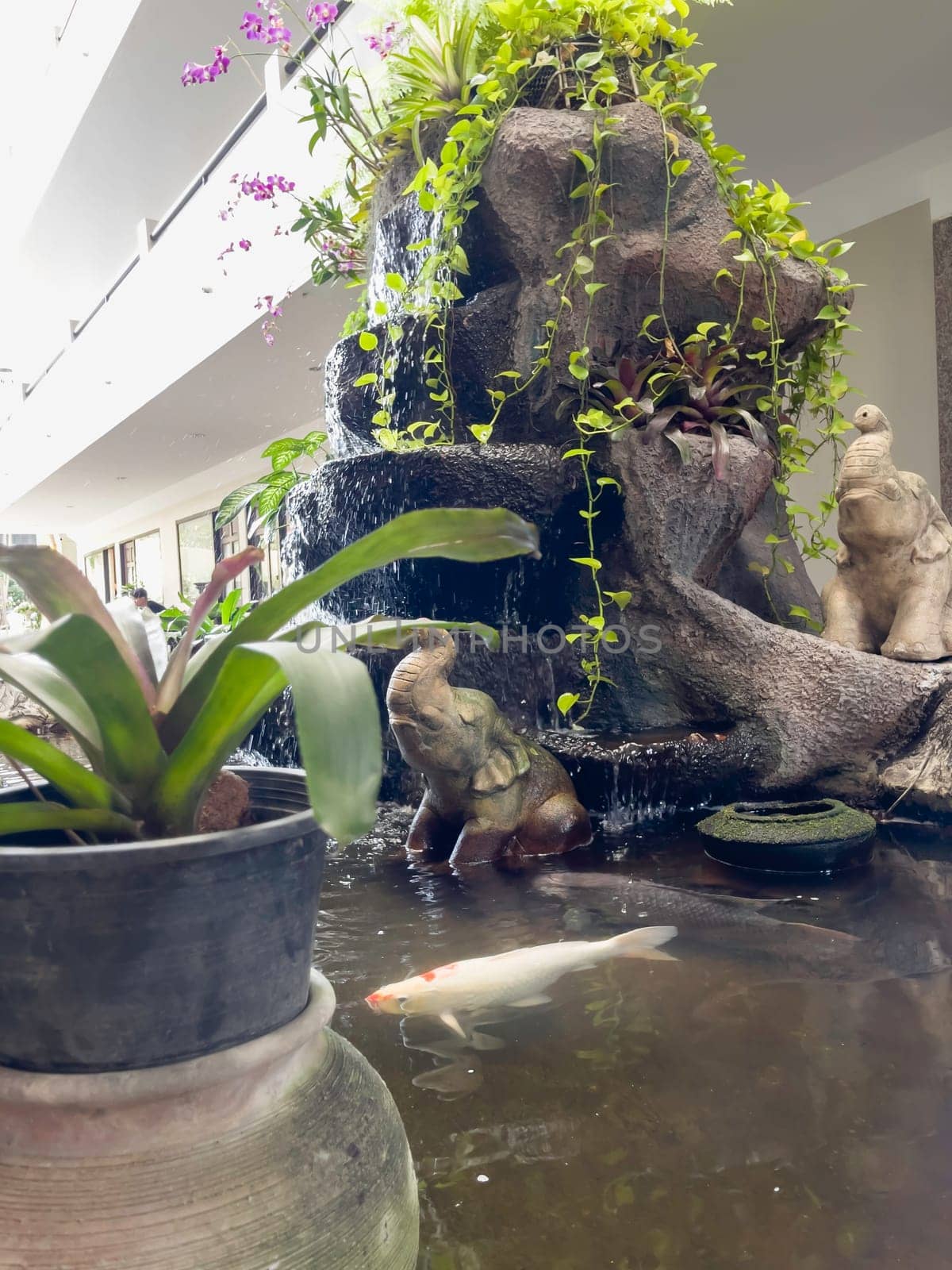Tropical plant decorated in garden, stock photo
