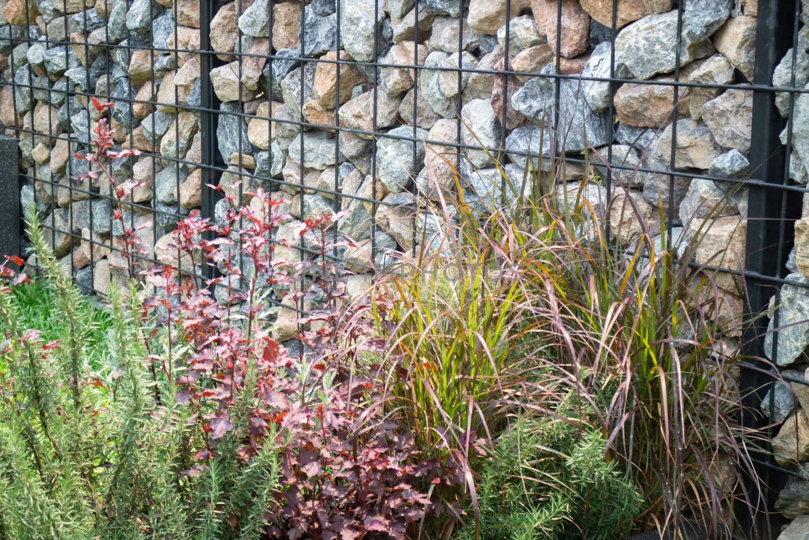 Tropical garden with botanic plants stone, stock photo