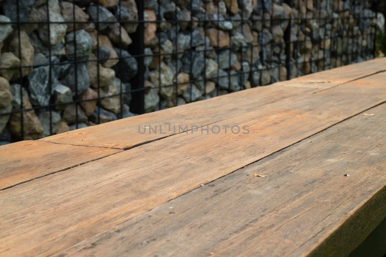 Tropical garden with botanic plants stone, stock photo