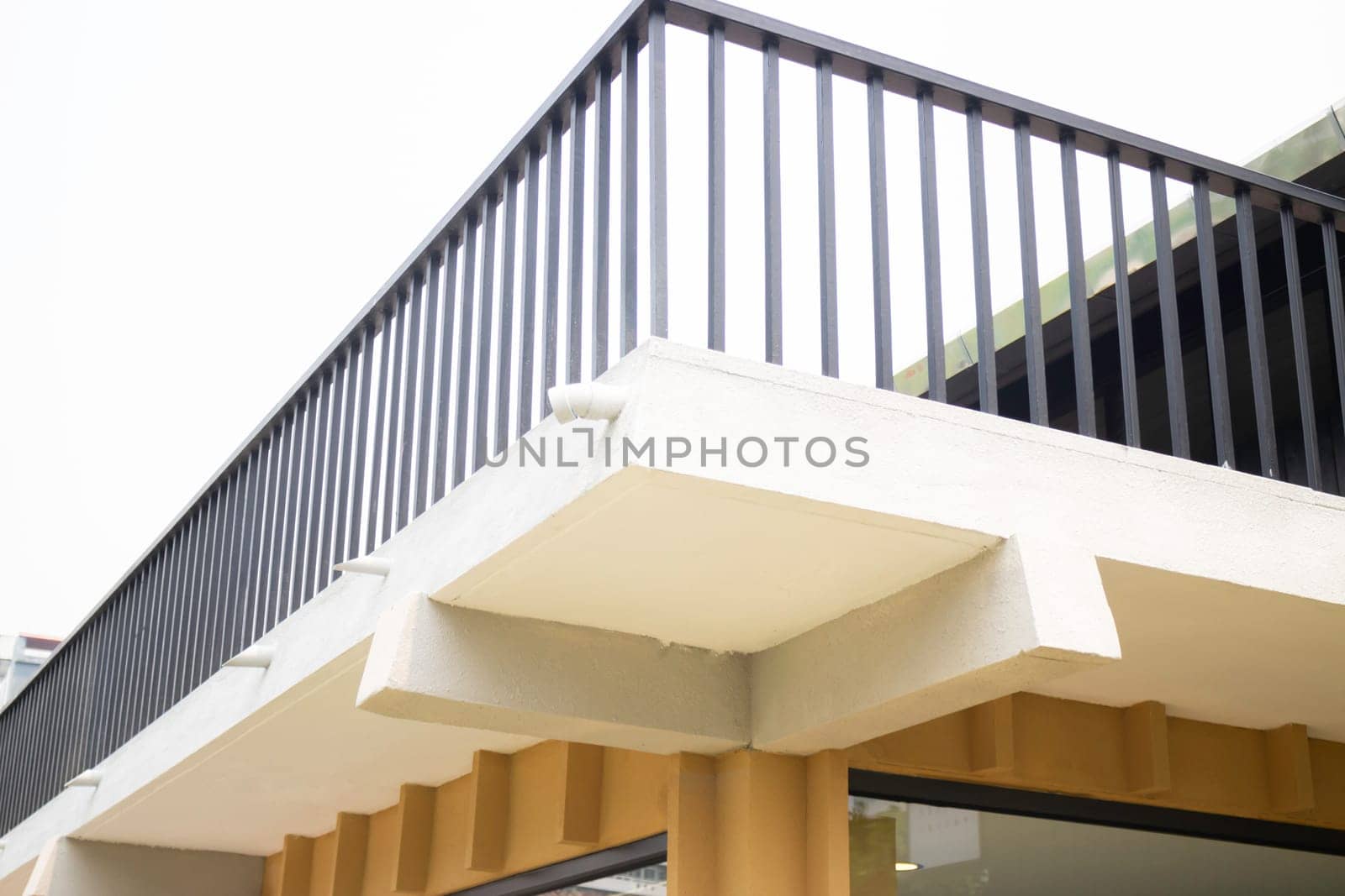 Tropical garden with botanic plants stone, stock photo