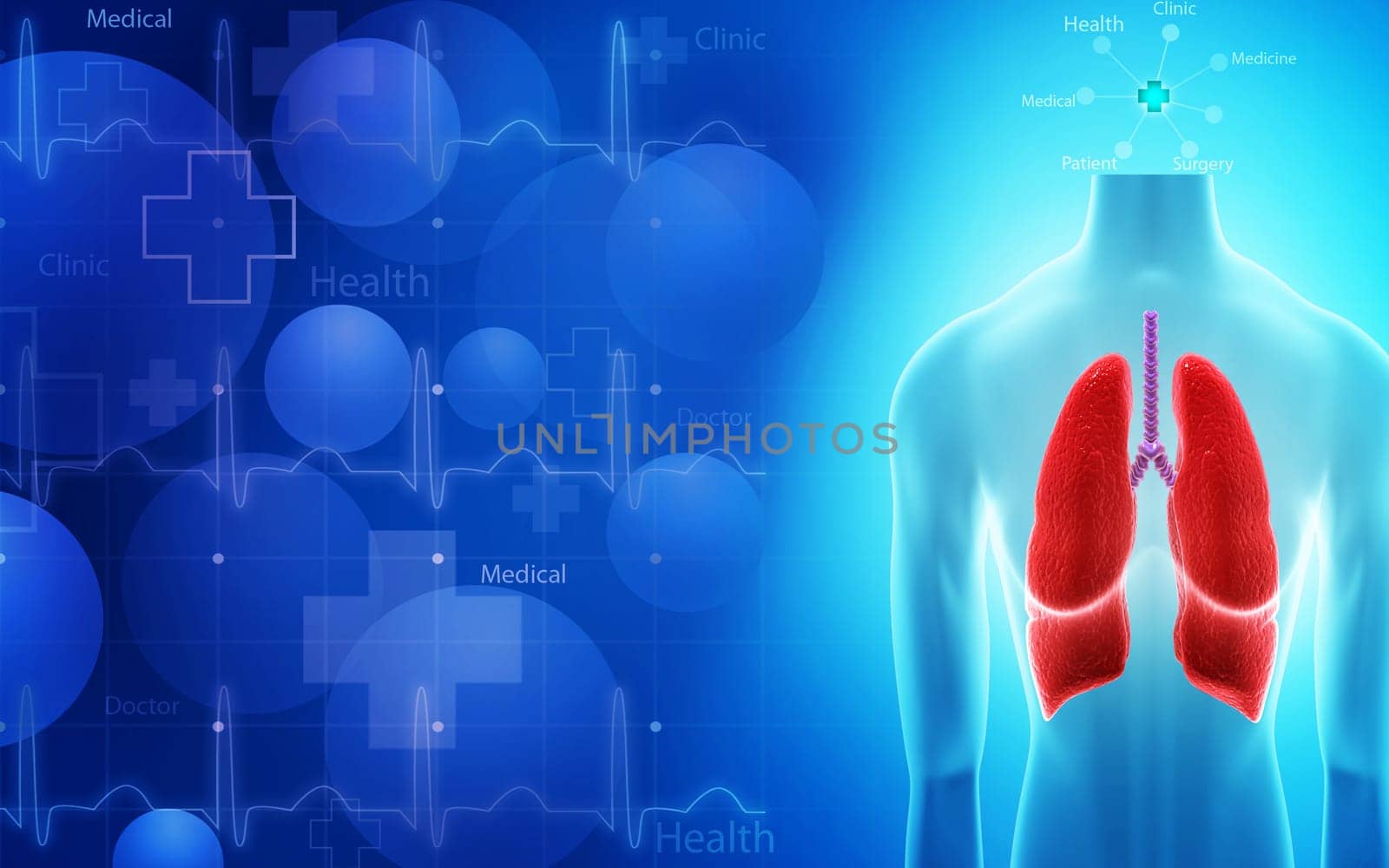 Digital illustration of human lungs in colour background