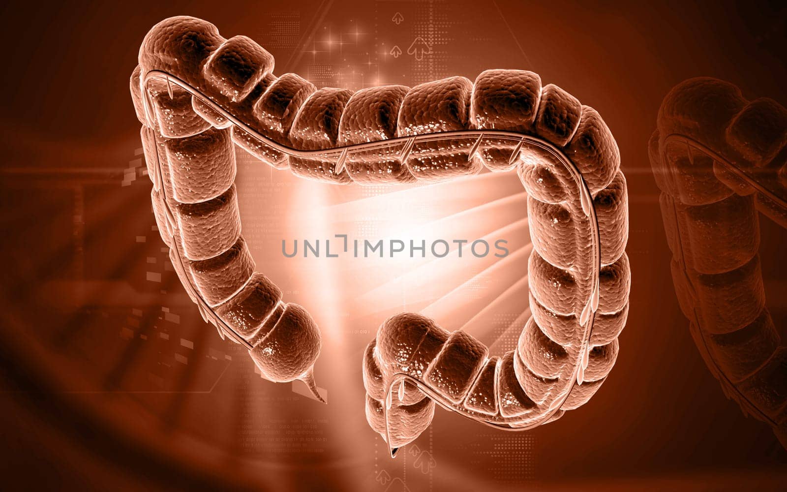 Digital illustration of large intestine in colour background
