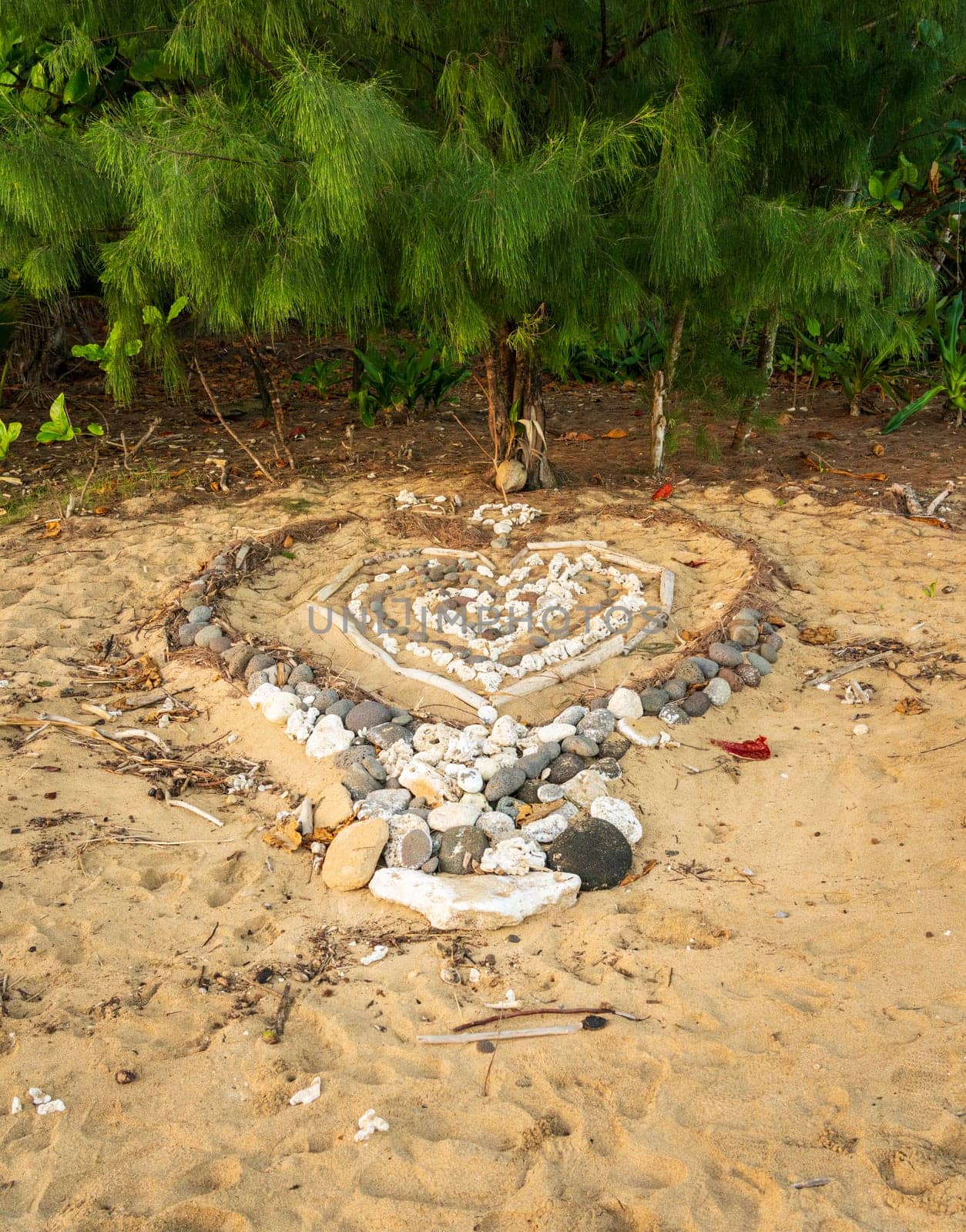 Heart made of coral and rocks on sandy beach in Kauai with evergreen tree as backdrop displaying a symbol of love, or perhaps marriage proposal.
