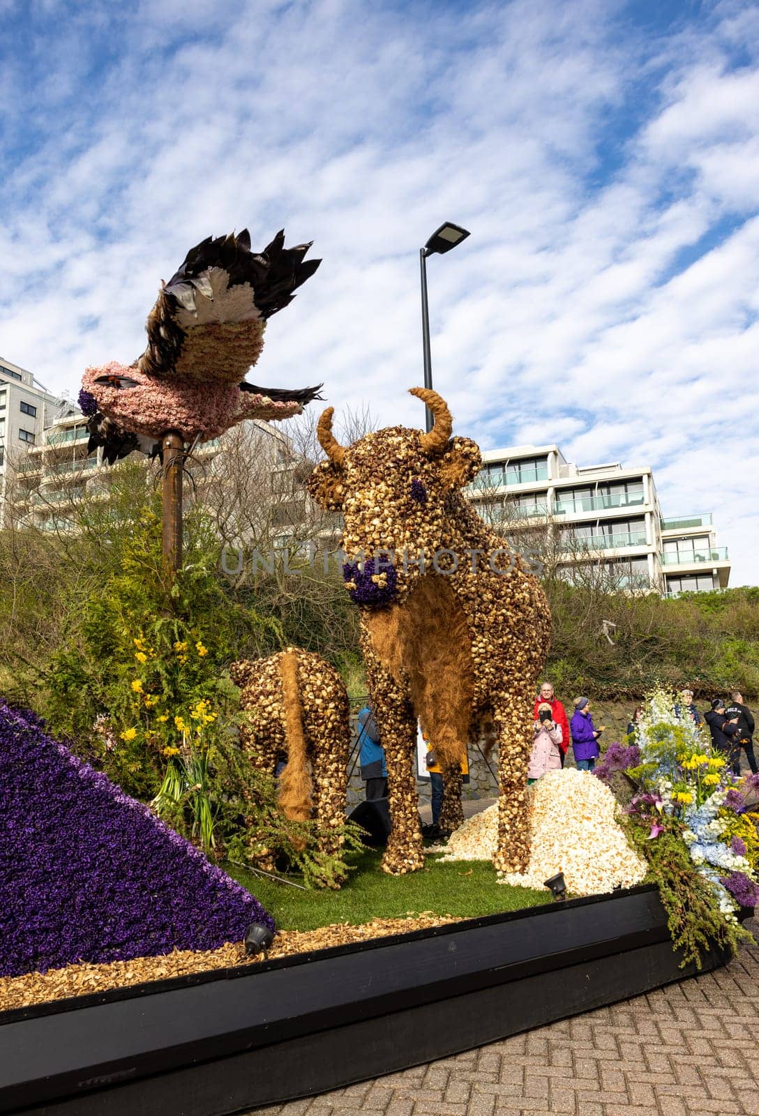 Noordwijk, Netherlands - April 22, 2023: Spectacular flower covered floats in the Bloemencorso Bollenstreek the annual spring flower parade from Noordwijk to Haarlem in the Netherlands.