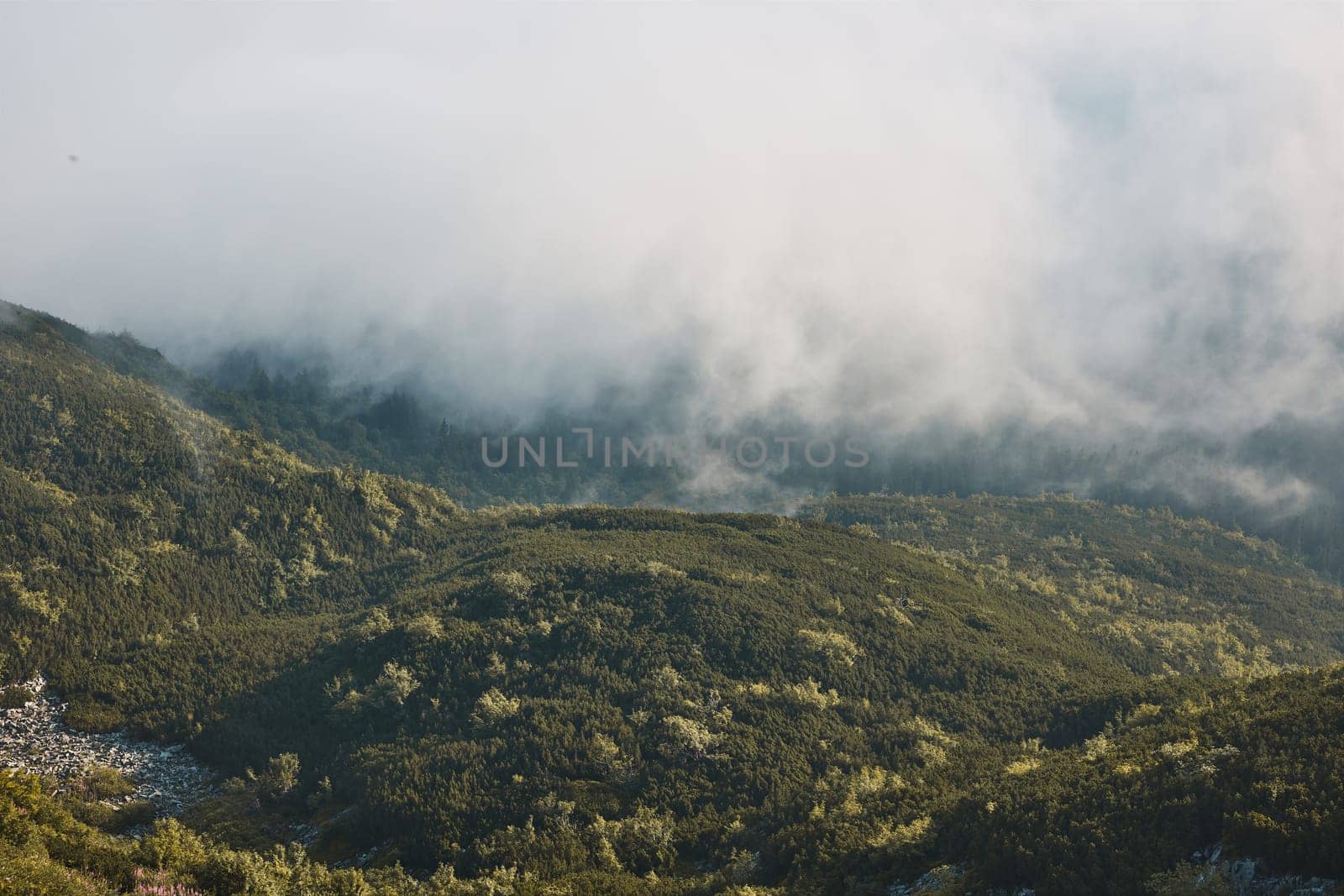 Mountain landscape. Scenic view of mountain peaks, slopes, hills and valleys covered with foggy slopes and valleys. Panoramic view. Natural scenery. Beautiful background