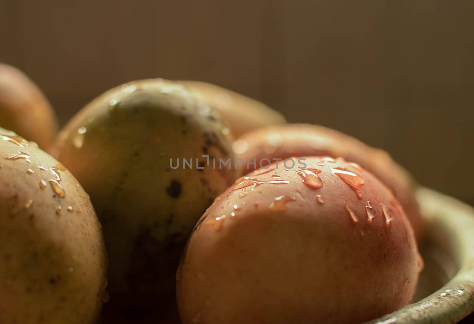 Freshly washed mangoes on bowl with copy space, Concept of fresh mangoes in a basket with water splash, Ripe mangoes with water drops on bowl