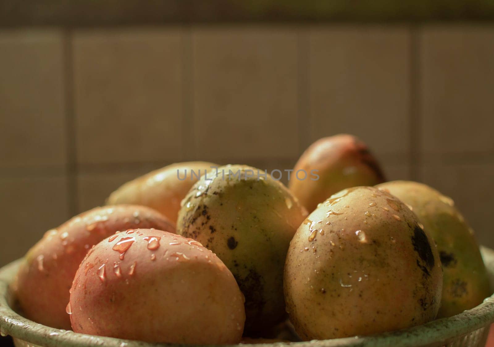 Ripe mangoes with water drops on bowl, Freshly washed mangoes on bowl with copy space, Concept of fresh mangoes in a basket with water splash