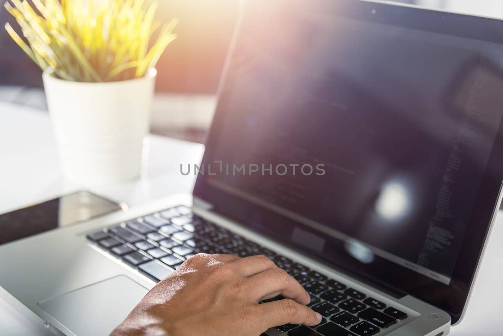 Programmer woman writing program HTML code sitting at workplace in office, IT software developer hands typing data coding programming with laptop computer, IT start up concept, Web application design