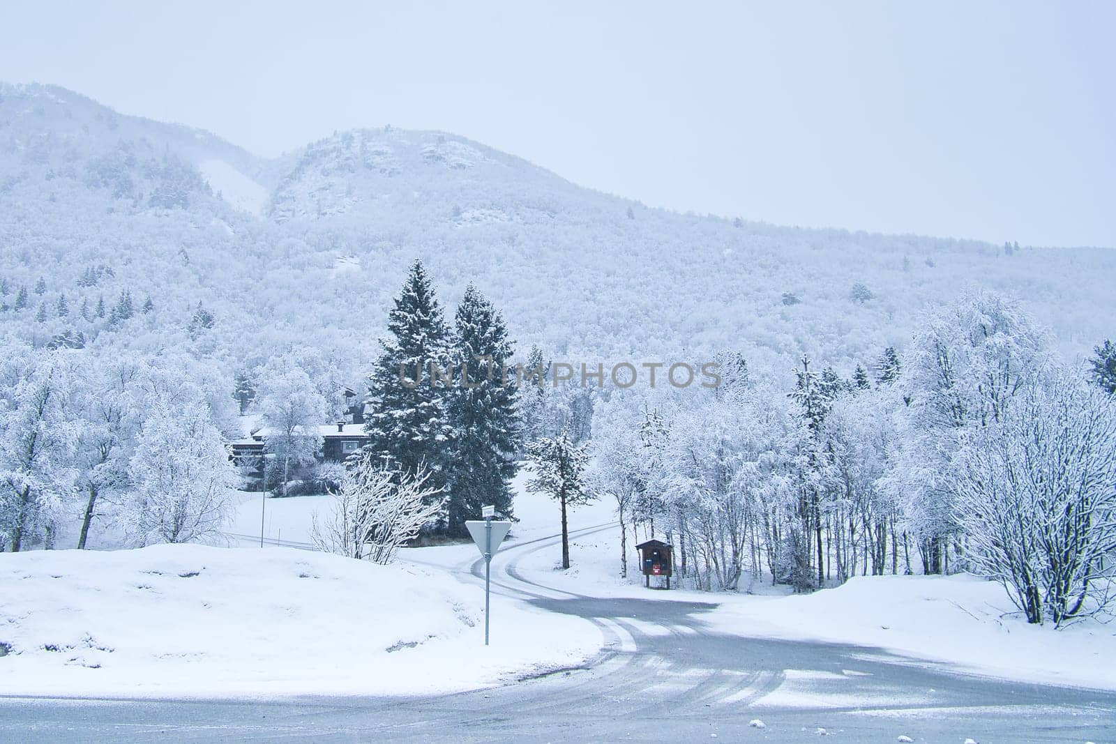 Winter landscape in Scandinavia. With snow covered trees on a road. Landscape photo from the north