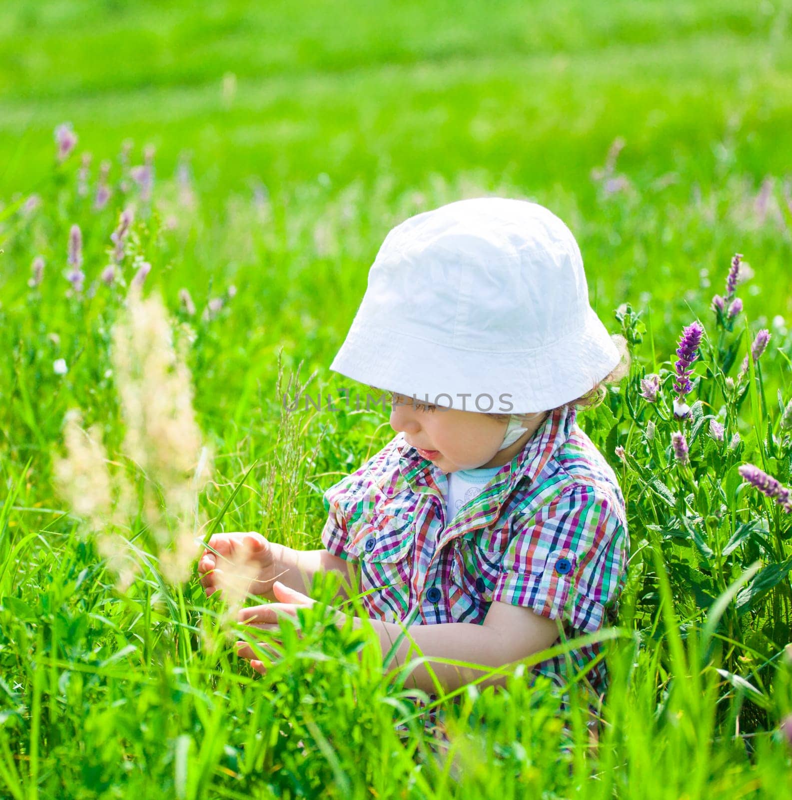 Portrait of 1 year old baby boy enjoying a day outdoor on a meadow.