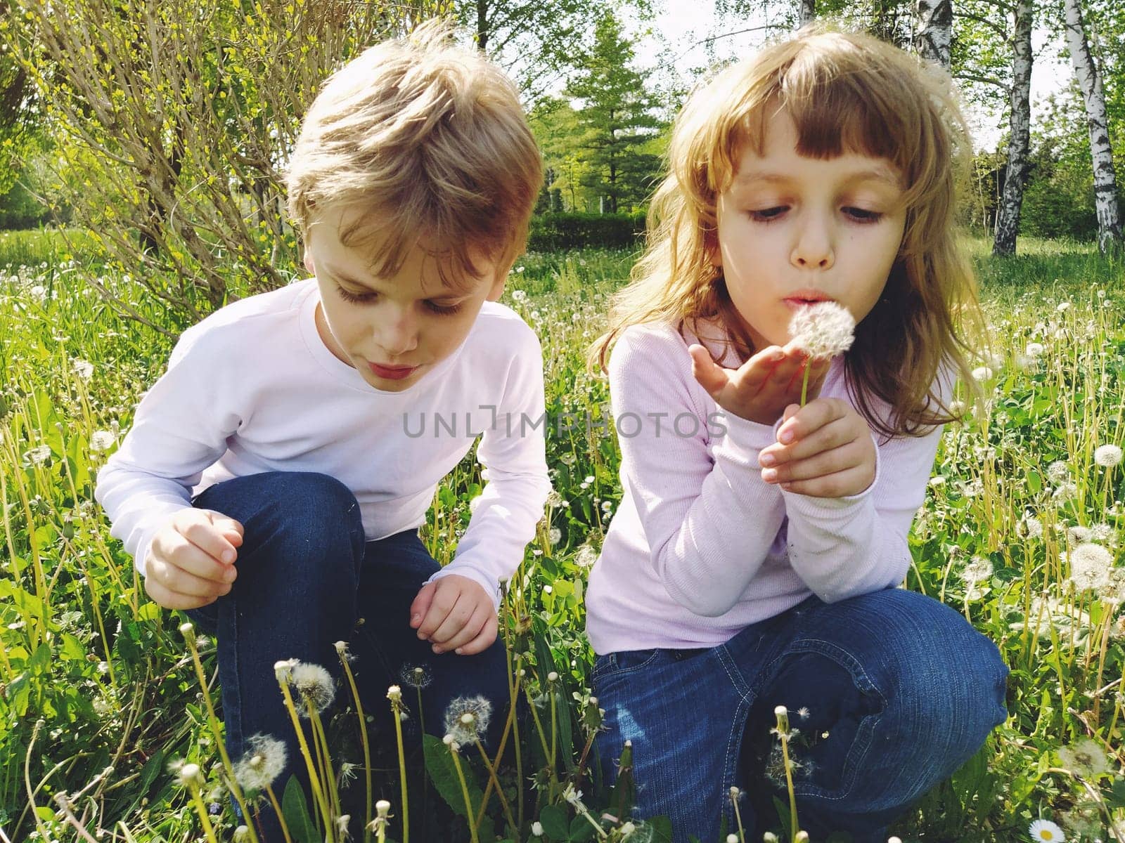 Boy and girl on the grass. Cute children pick meadow flowers and blow on dandelion seeds. Brother and sister are wearing white blouses and blue jeans. sunny weather in a city park. Recreation and communication in nature. Ecology, healthy lifestyle and nutrition concept