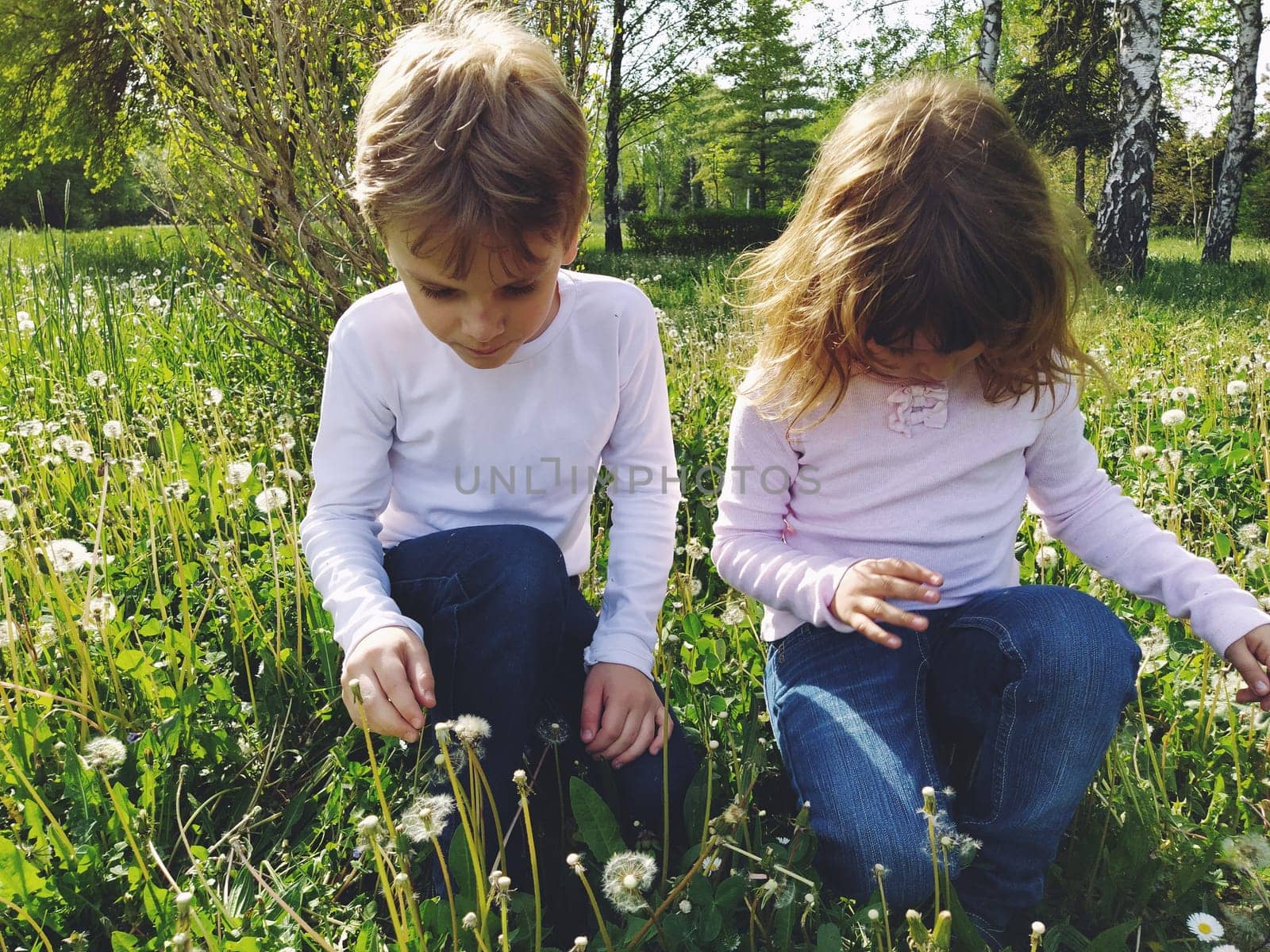 Boy and girl on the grass. Cute children pick meadow flowers. Brother and sister are wearing white blouses and blue jeans. sunny weather in a city park.