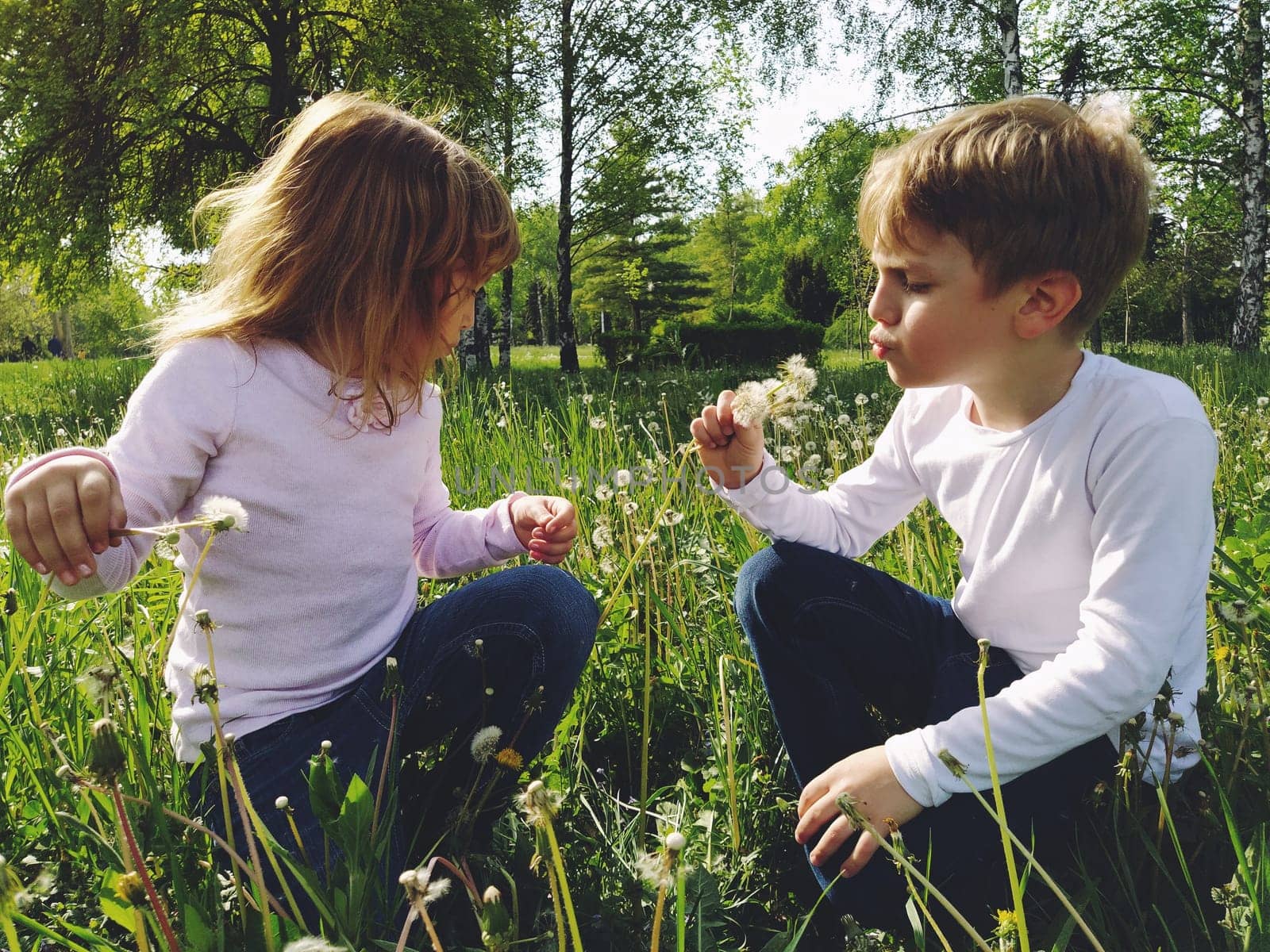 Boy and girl on the grass. Cute children pick meadow flowers and blow on dandelion seeds. Brother and sister are wearing white blouses and blue jeans. sunny weather in a city park. Recreation and communication in nature. Ecology, healthy lifestyle and nutrition concept