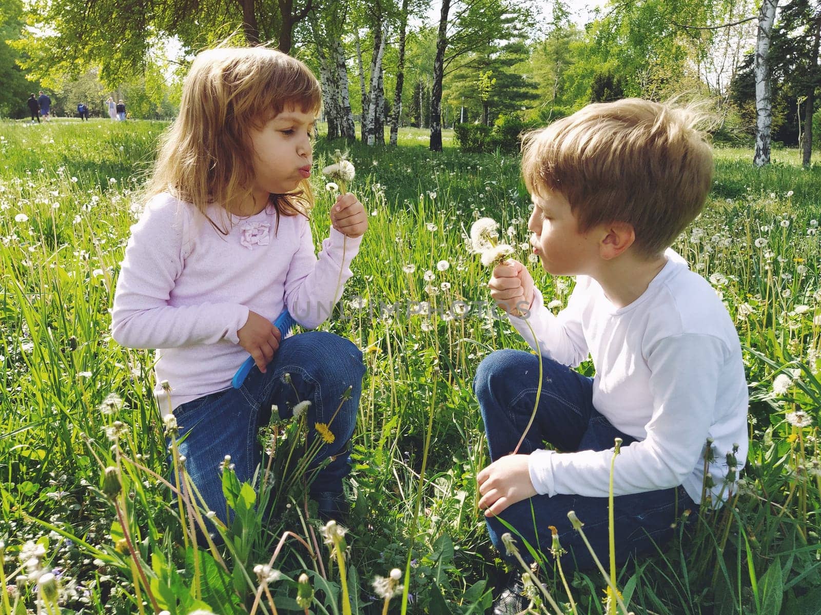 Boy and girl on the grass. Cute children pick meadow flowers and blow on dandelion seeds. Brother and sister are wearing white blouses and blue jeans. sunny weather in a city park. Recreation and communication in nature. Ecology, healthy lifestyle and nutrition concept