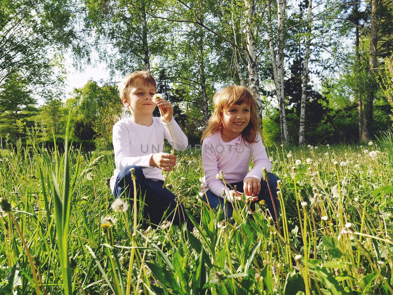 Boy and girl on the grass. Cute children pick meadow flowers and blow on dandelion seeds. Brother and sister are wearing white blouses and blue jeans. sunny weather in a city park. Recreation and communication in nature. Ecology, healthy lifestyle and nutrition concept