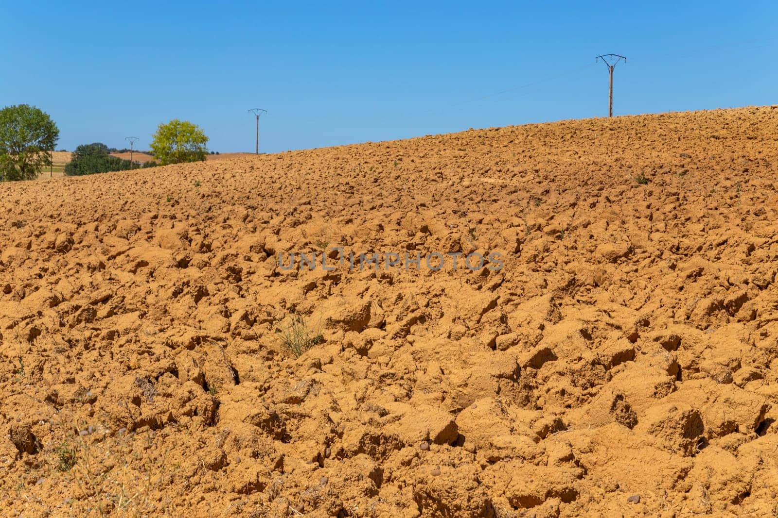 Cultivated field in the Extremadura plains, Spain