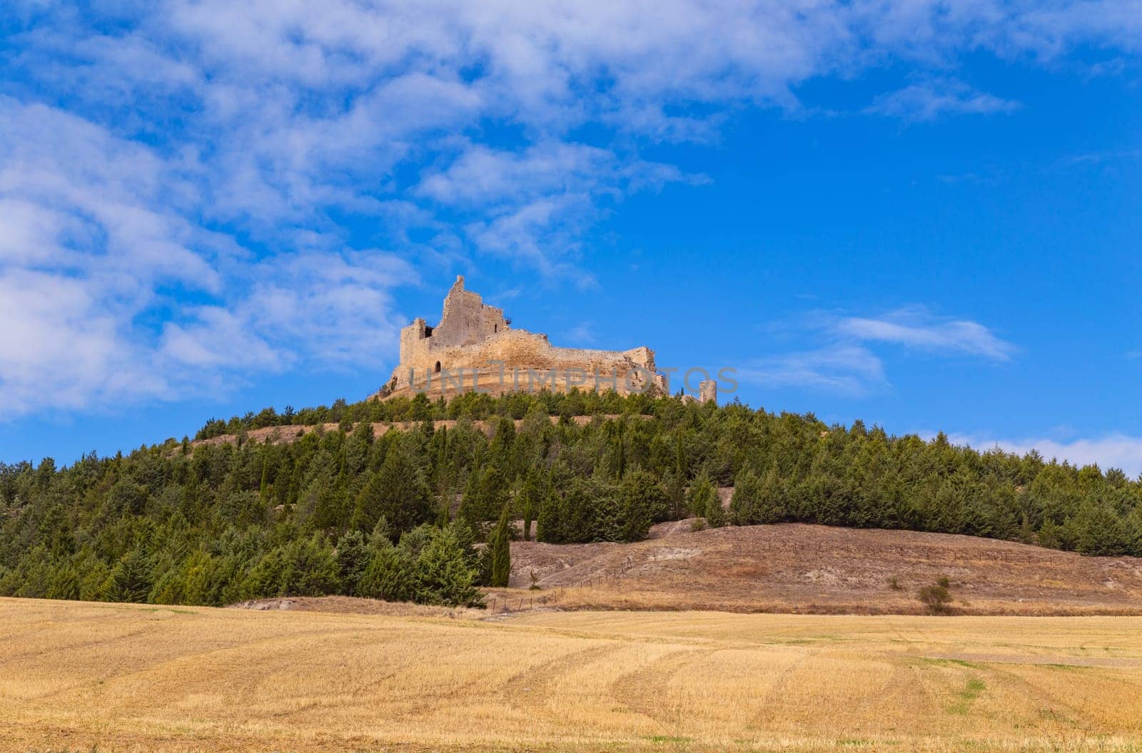 Ruined Medieval Castle Dated From The 9th Century In Burgos. Burgos, Castilla Leon, Spain.