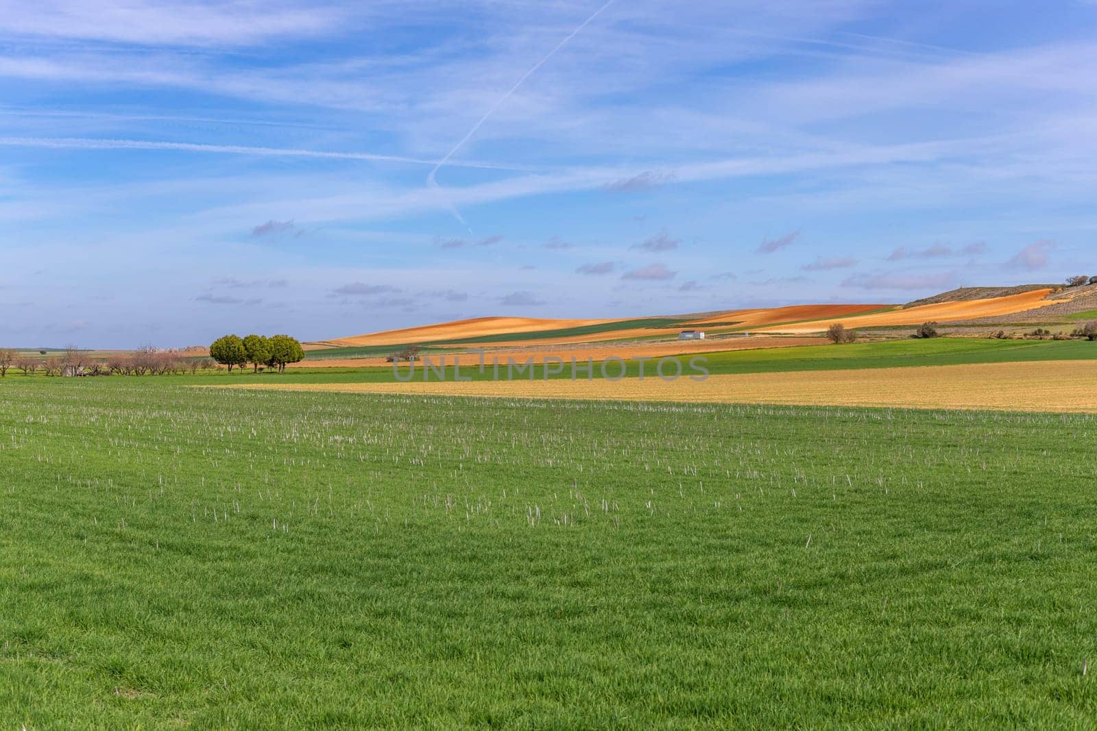 Green field and the sky in Zamora, near Puebla de Sanabria, Spain