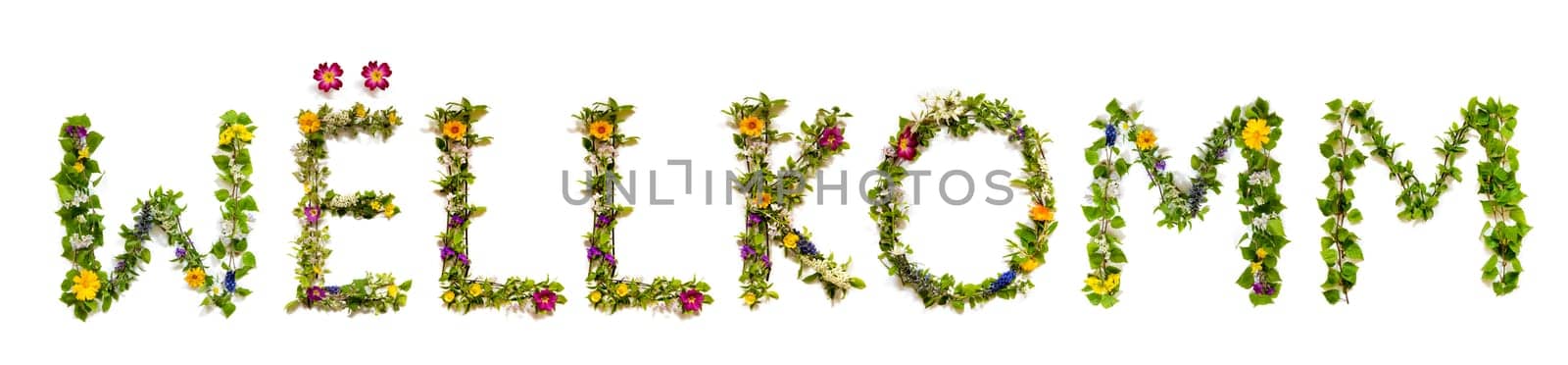 Colorful Flowers Building Luxembourgish Text Wellkomm, Means Welcome in English, Some Green And Some Spring Flowers on Isolated White Background, Symbolic Meaning, Quote