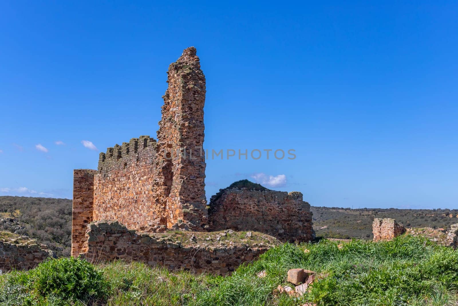 Castrotorafe castle in San Cebrian de Castro Zamora province. Spain