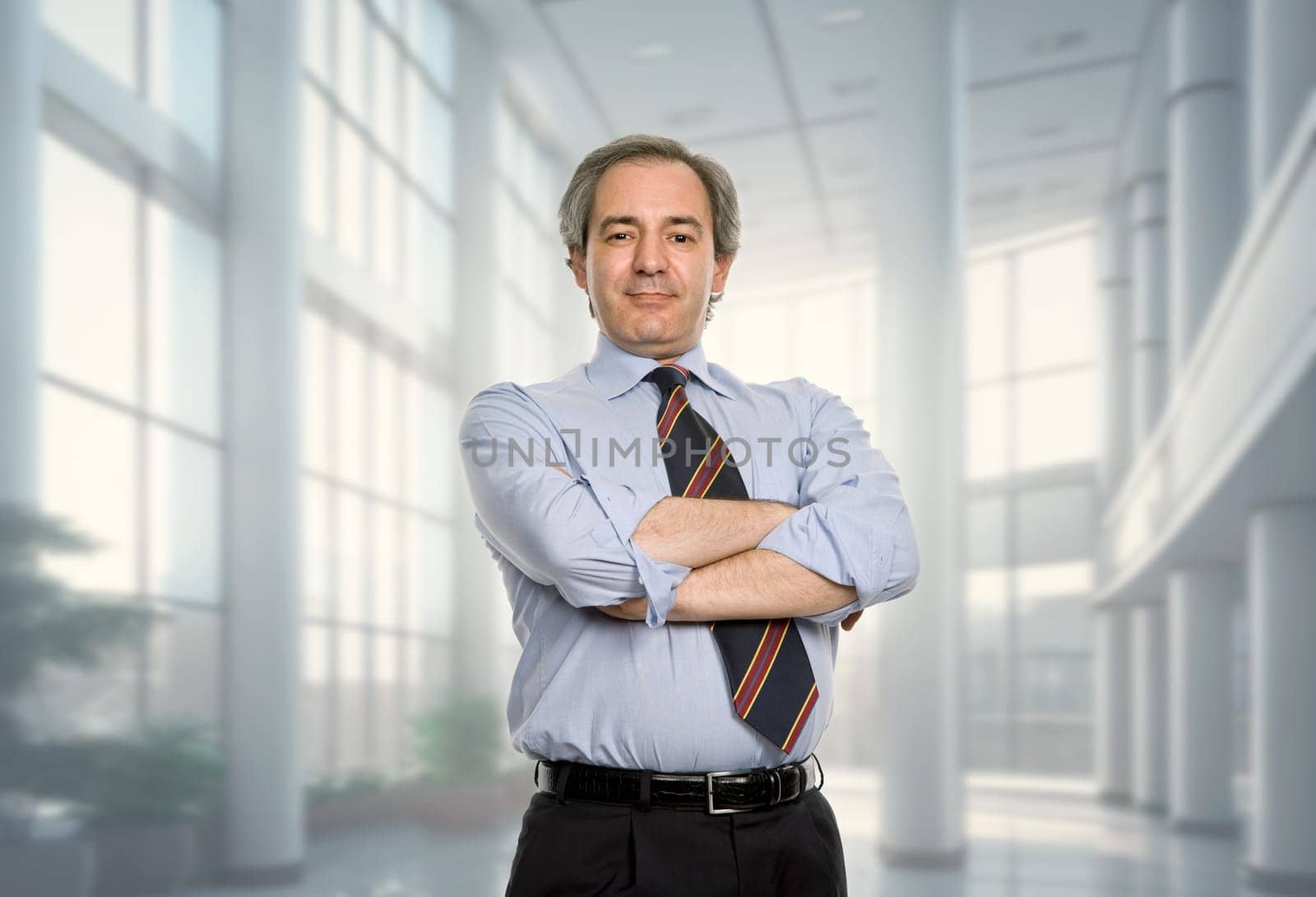 mature business man portrait at the office