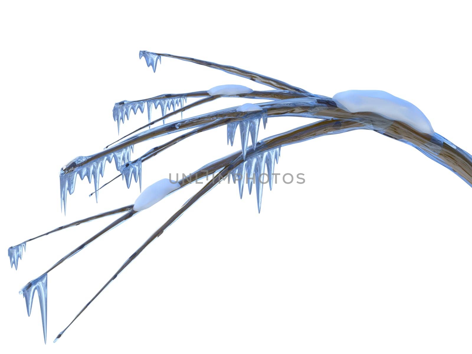 Frozen branch of a tree with icicles and snow in icy winter season time