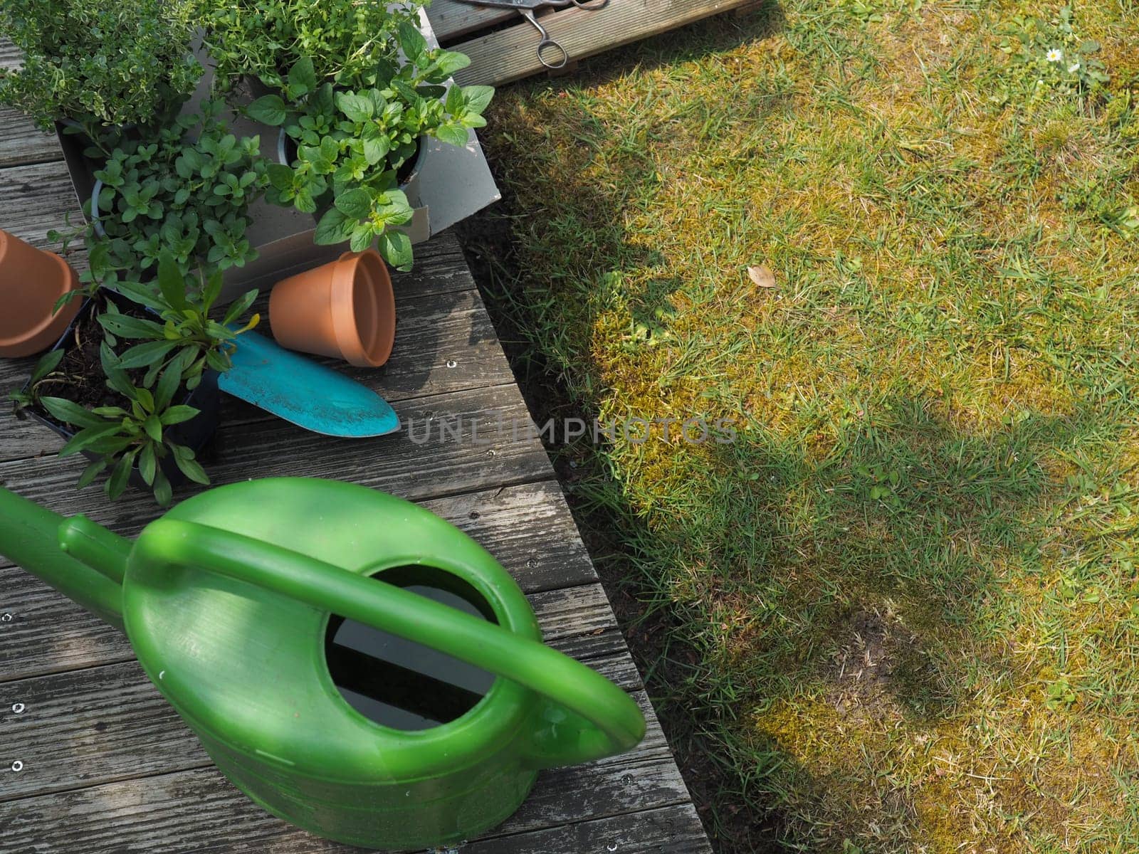 Fresh organic herbs and garden tools on a wooden terrace, urban gardening, self supply, healthy food, conserving resources