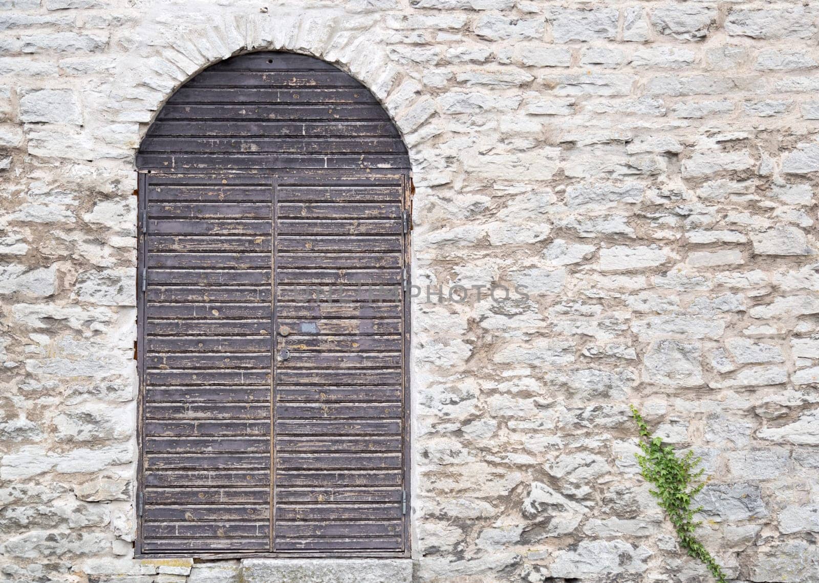 Door in the Visby, Gotland Town-Wall with ivy next to it.