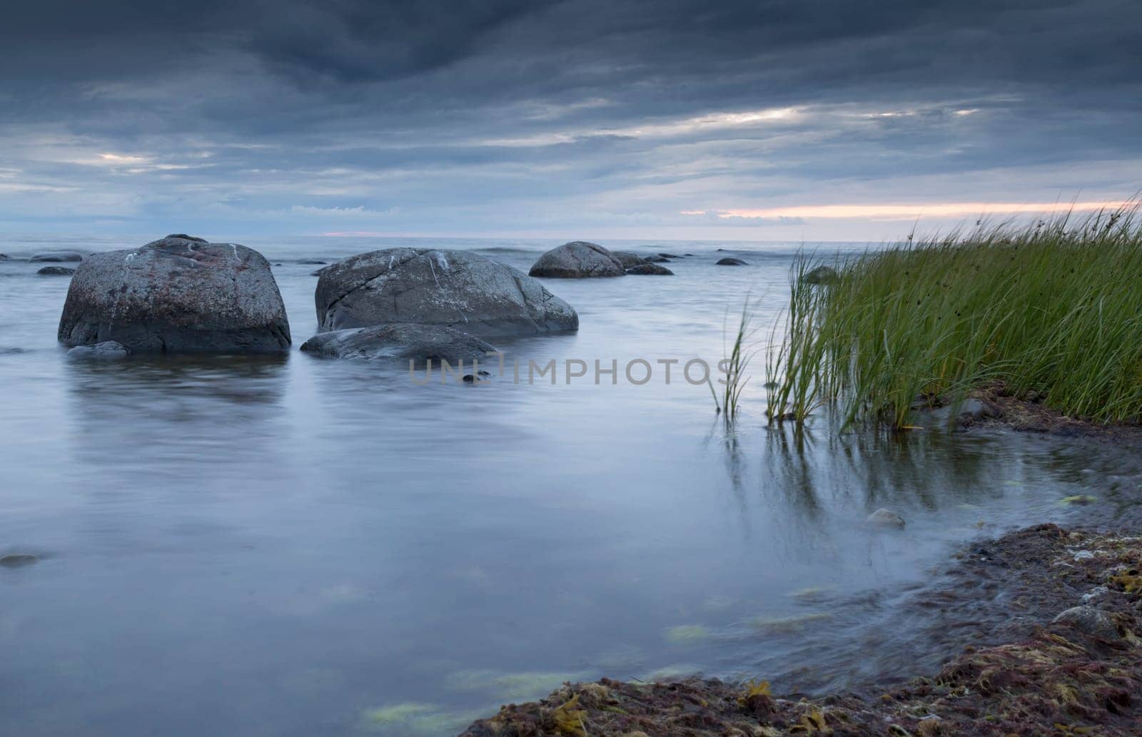 Calm Ocean with Rocks and Sea Weed.