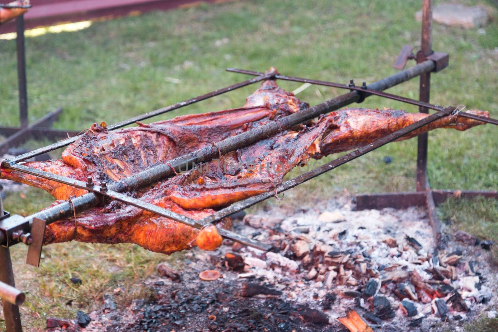 Barbecuing Entire Lamb on steal frame.