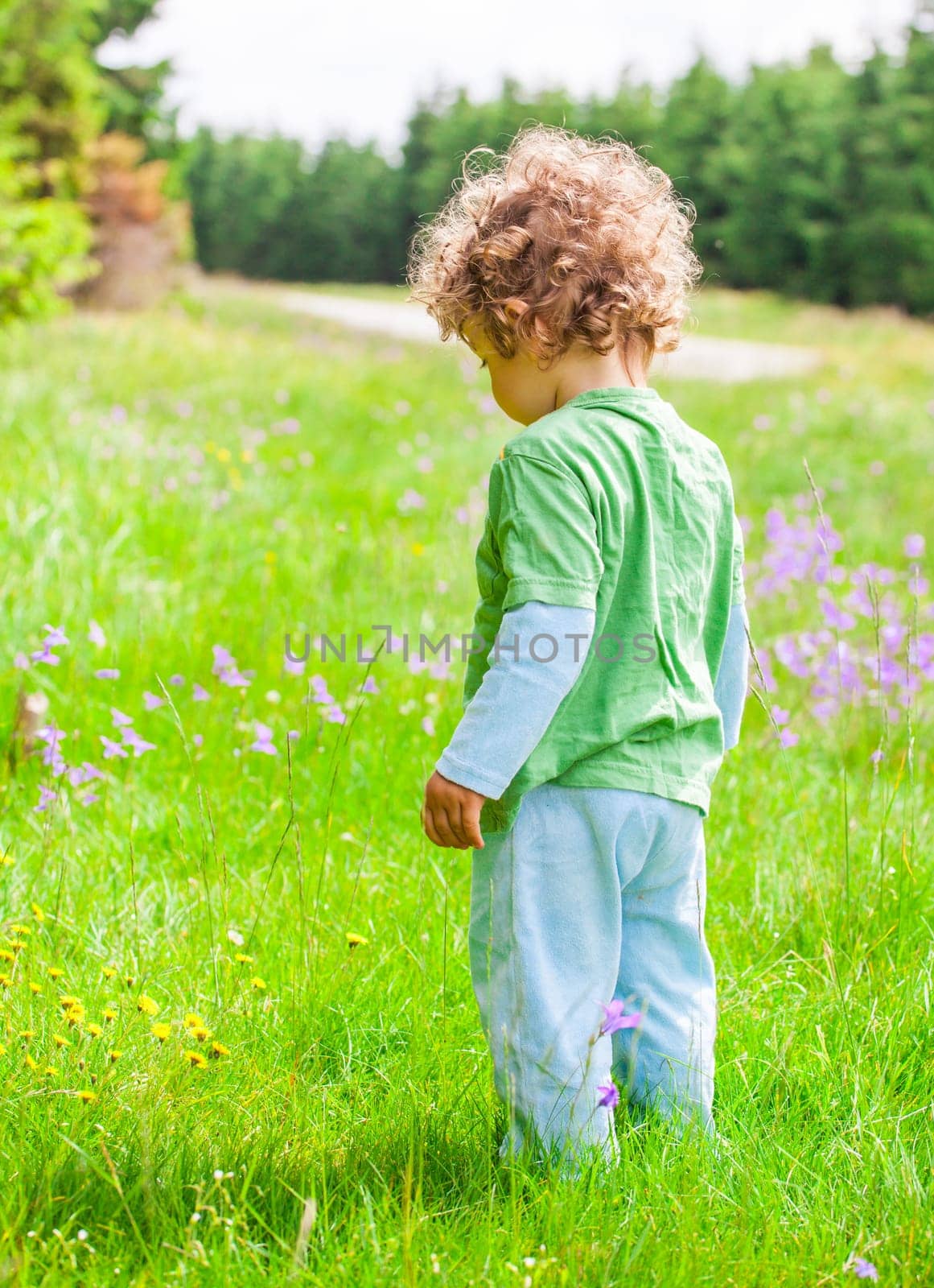 Portrait of 1 year old baby boy having fun on a mountain meadow.