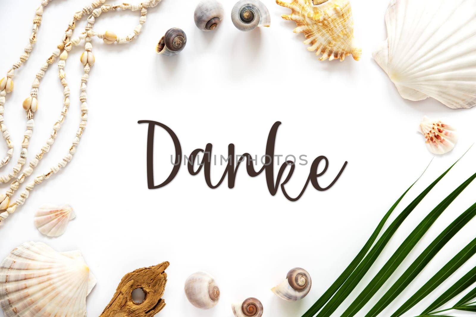 White Summer Flat Lay, Top View, Decorated With Shells and Plants, With German Text Danke, Means Thank You in English