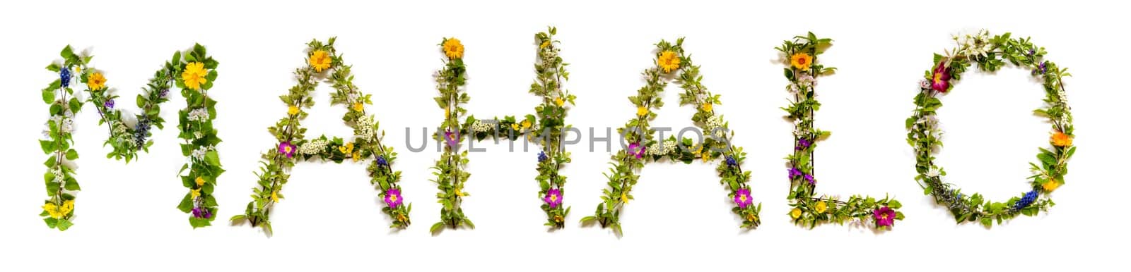 Colorful Flowers Building Hawaiian Text Mahalo, Means Thank You in English, Some Green And Some Spring Flowers on Isolated White Background, Symbolic Meaning, Quote