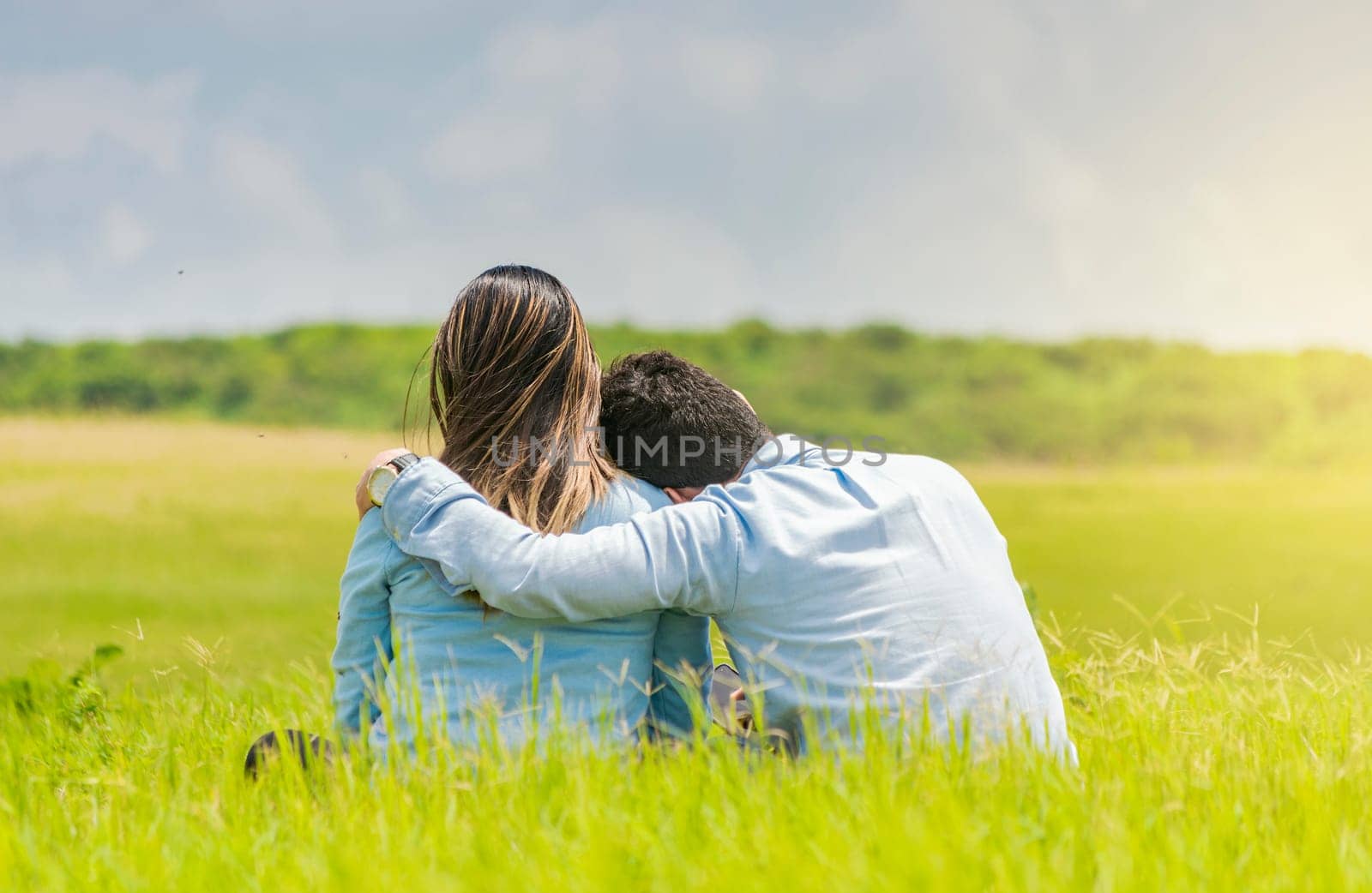 A couple in love sitting on the grass hugging from the back, a romantic couple sitting on the grass hugging from the back, rear view of a couple in love hugging on the grass
