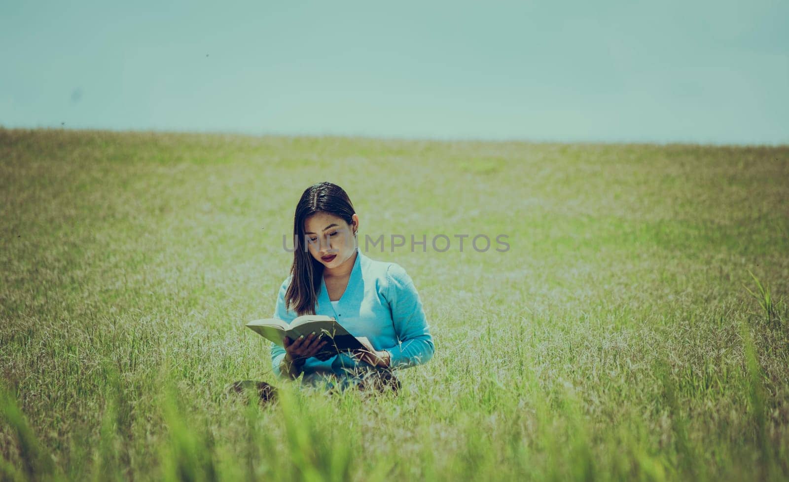 A girl reading a book in the field, A person sitting on the grass reading a book, Attractive people sitting on the grass reading a book