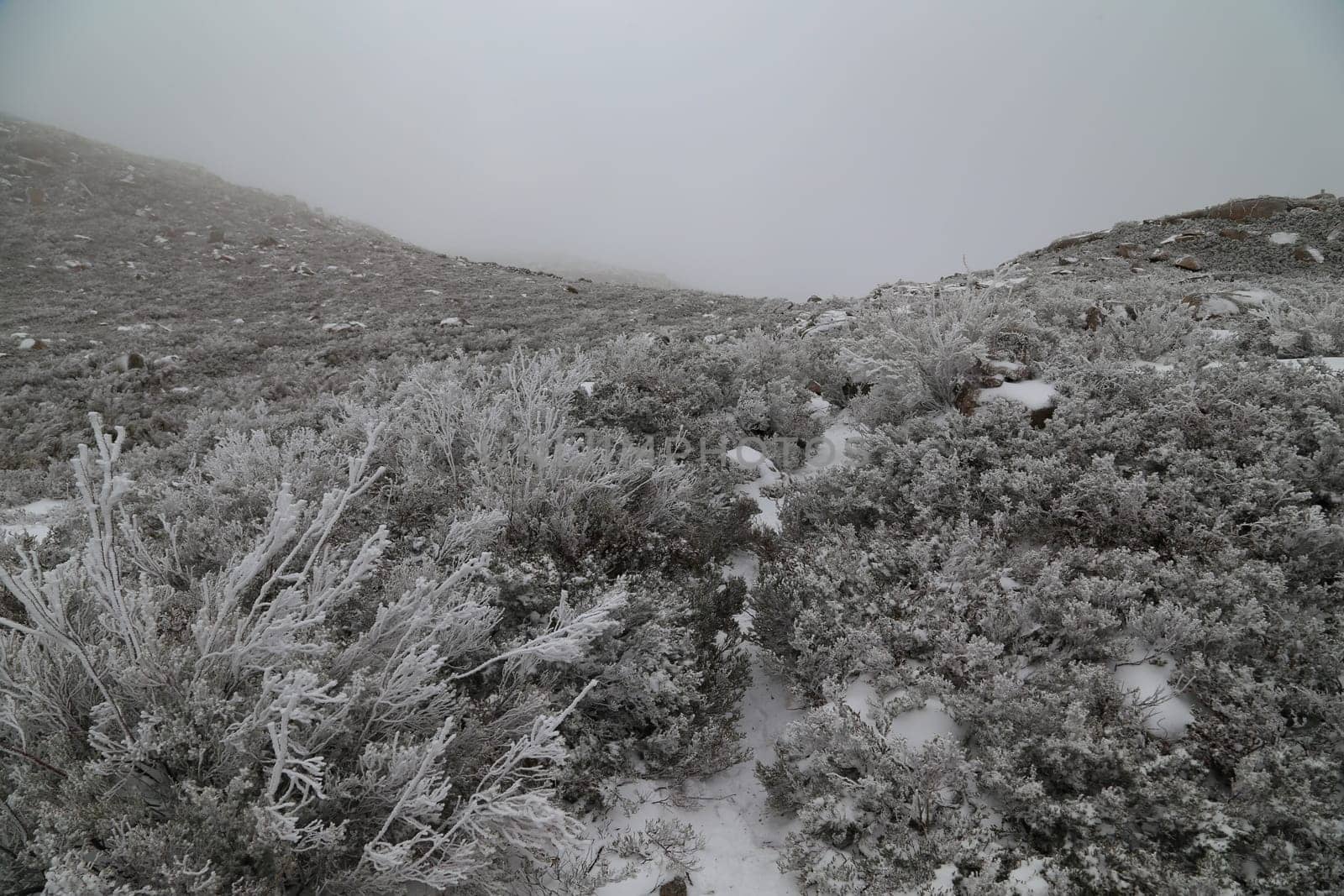 Winter landscape with snow in mountains of Serra do Geres natural park, Portugal