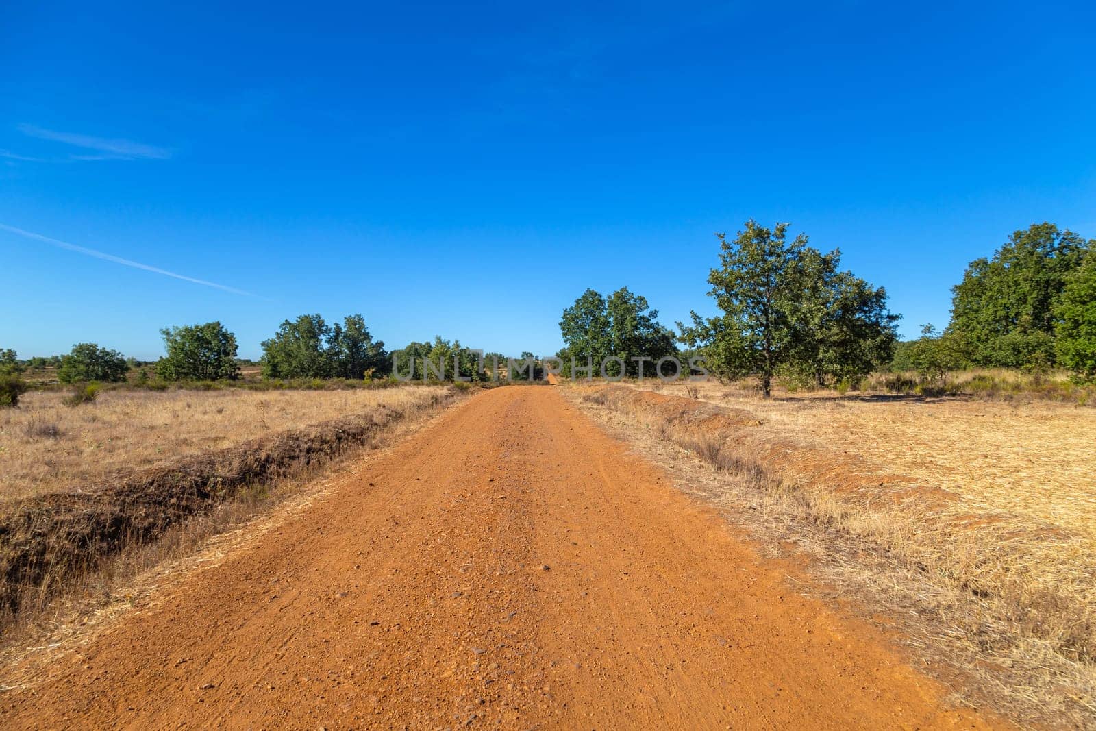 Rural road in the Spanish countryside among agricultural fields, after wheat harvest season. Navarra, Spain