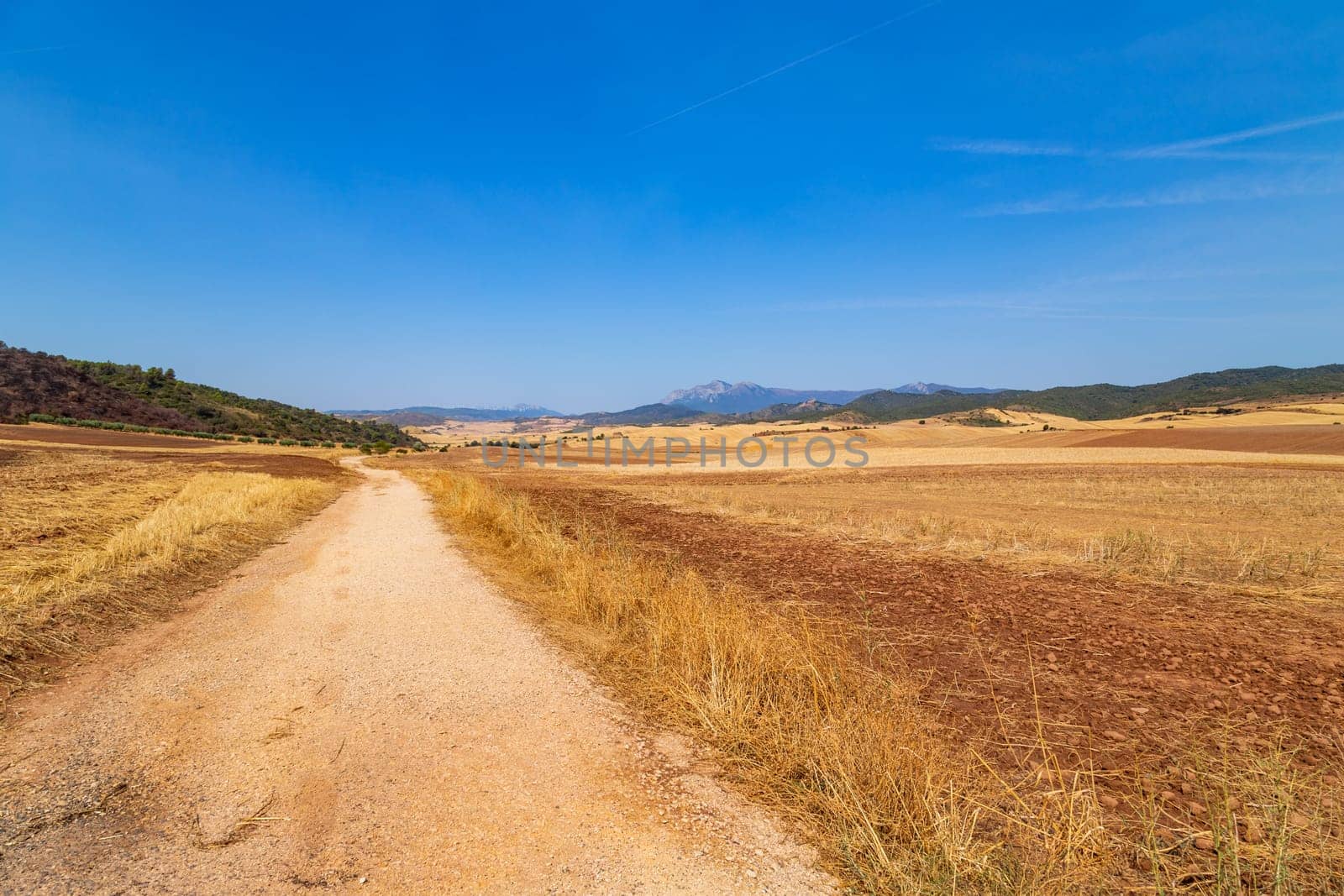 Rural road in the Spanish countryside among agricultural fields, after wheat harvest season. Navarra, Spain