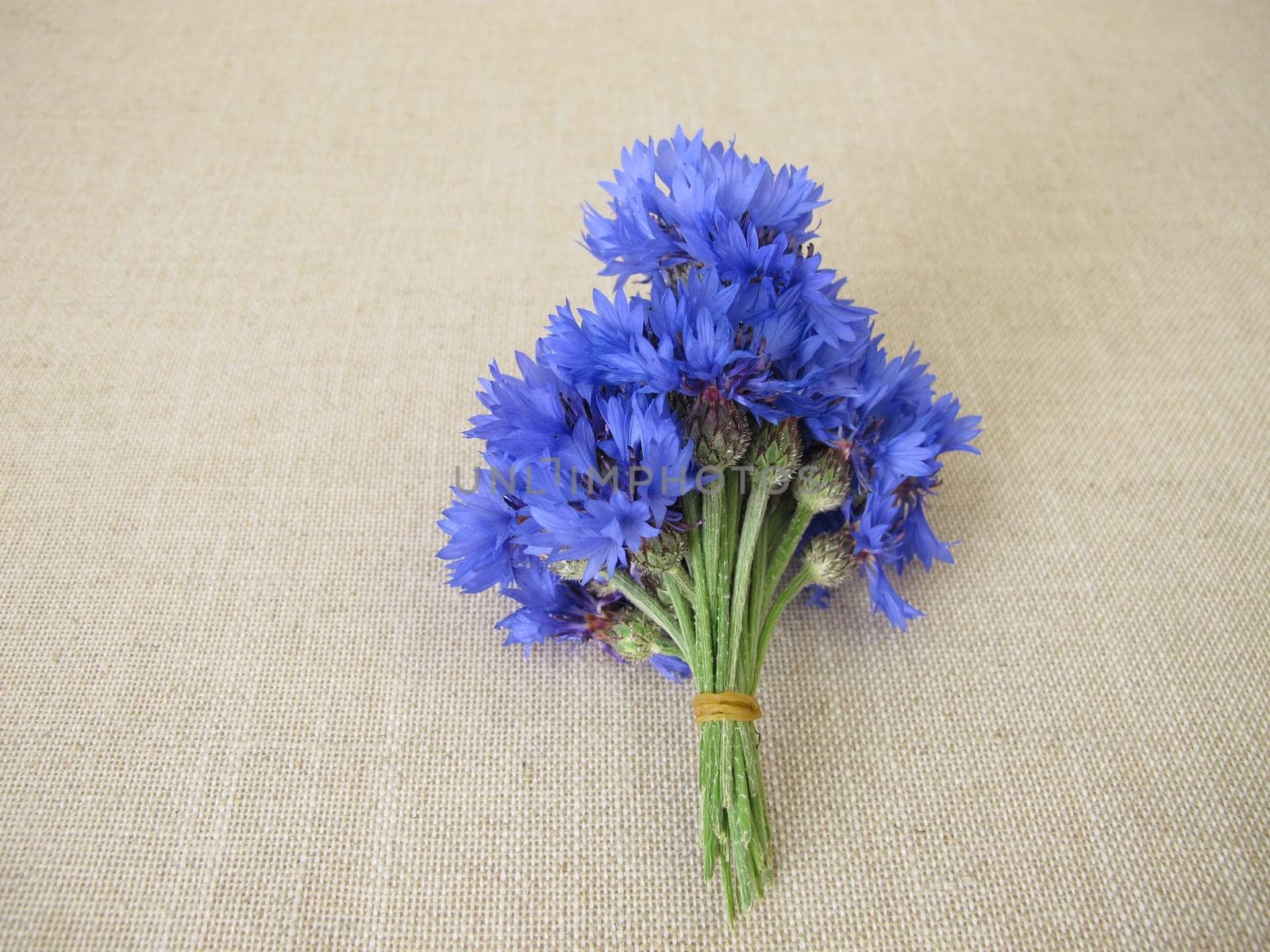 cornflower, blue cornflower, flower, flower bouquet, bouquet, posy, blue, Centaurea cyanus
