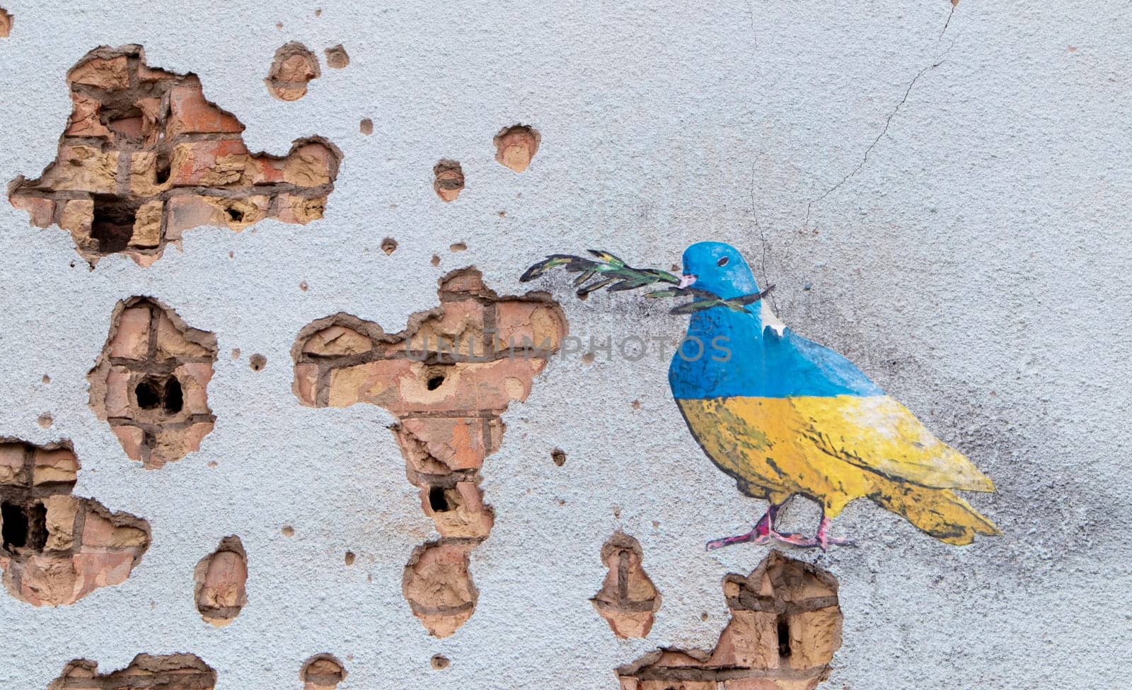 Shelled wall with a drawing of a dove in the colors of the flag of ukraine, blue and yellow. The dove is a symbol of purity, light, peace, love, the human soul. Ukraine, Kyiv - May 06, 2023
