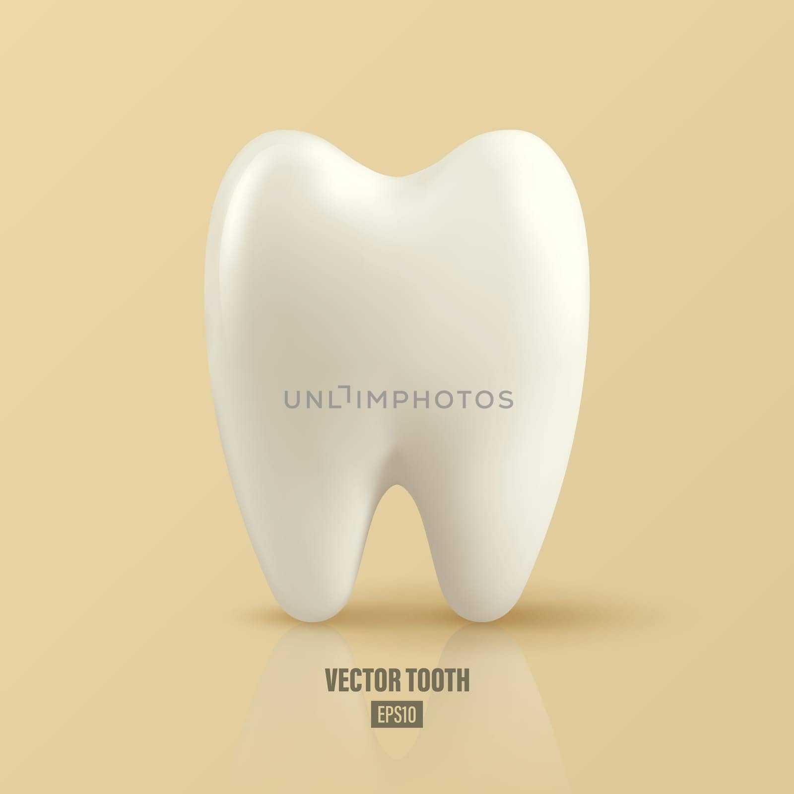 Vector 3d Realistic Tooth. Dental Inspection Banner, Plackard. Tooth Icon Closeup. Medical, Dentist Design Template. Dental Health Concept.