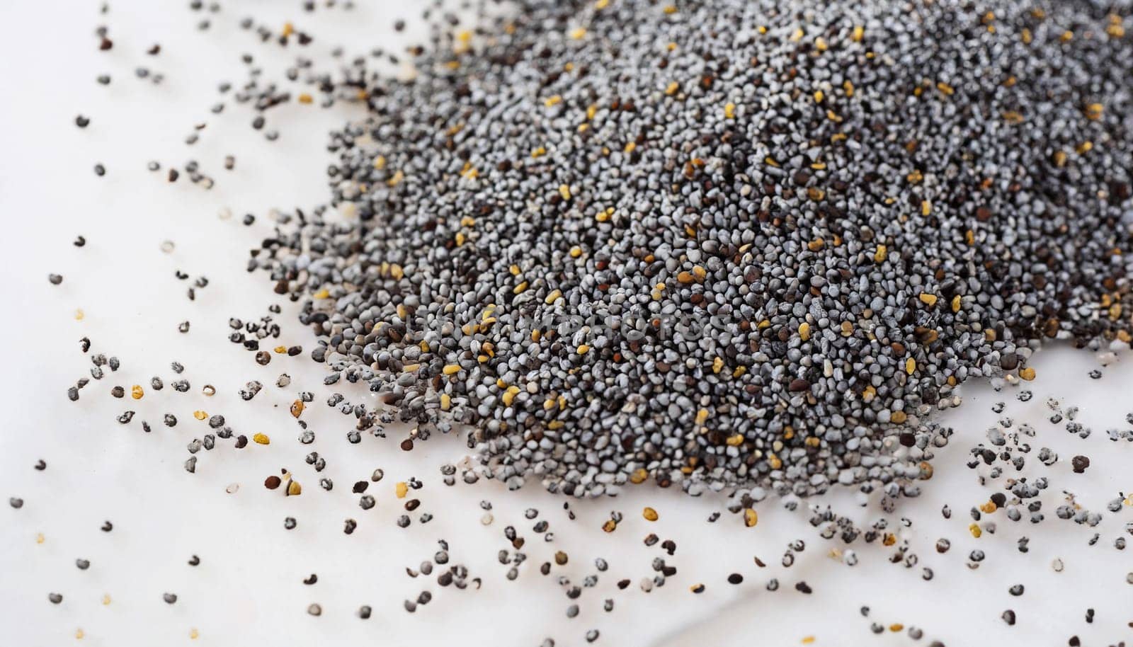 Poppy seeds scattered on white background, top view