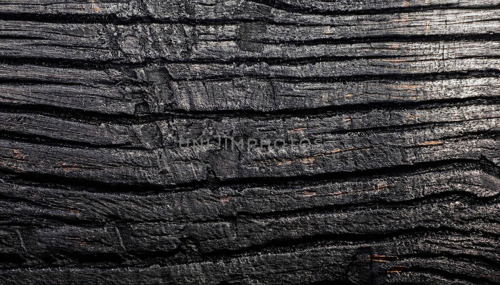 Dark wood texture background. Vintage old black boards hardwood. Charcoal timber quality high. Pattern wood grain material polished. Wooden floor detailed photo.