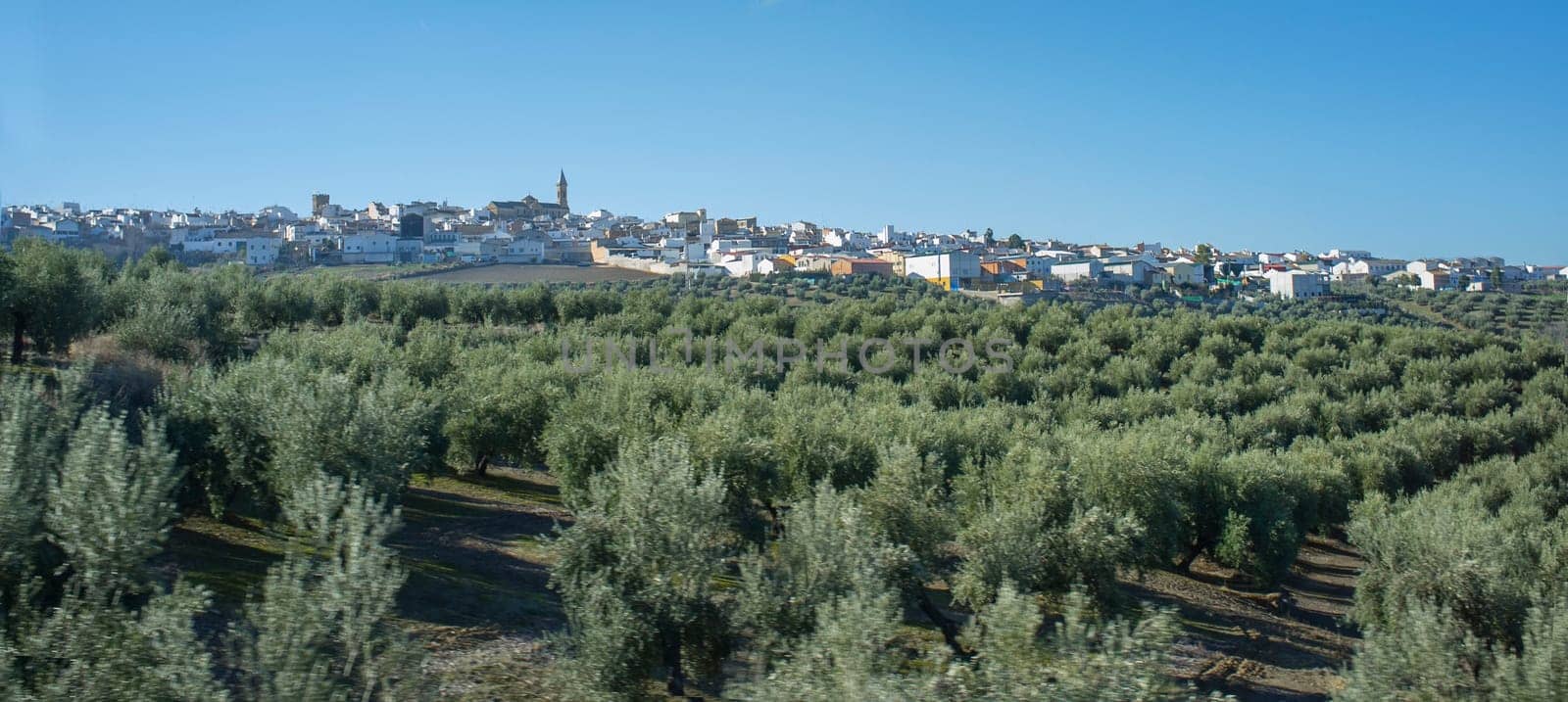 Andalusian white village skyline. Traveling down by the olive trees states between Cordoba and Jaen, Andalusia, Spain