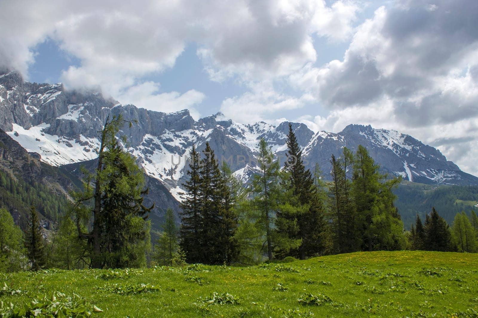 Panorama of massive Alpine mountains -  the Austrian Alps of the Dachstein region (Styria in Austria)