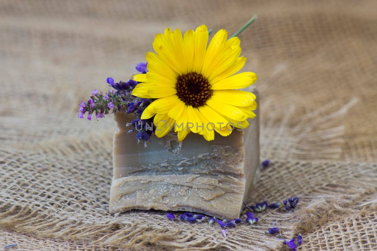Natural handmade soap with calendula, lavender and herbs on rustic wooden background